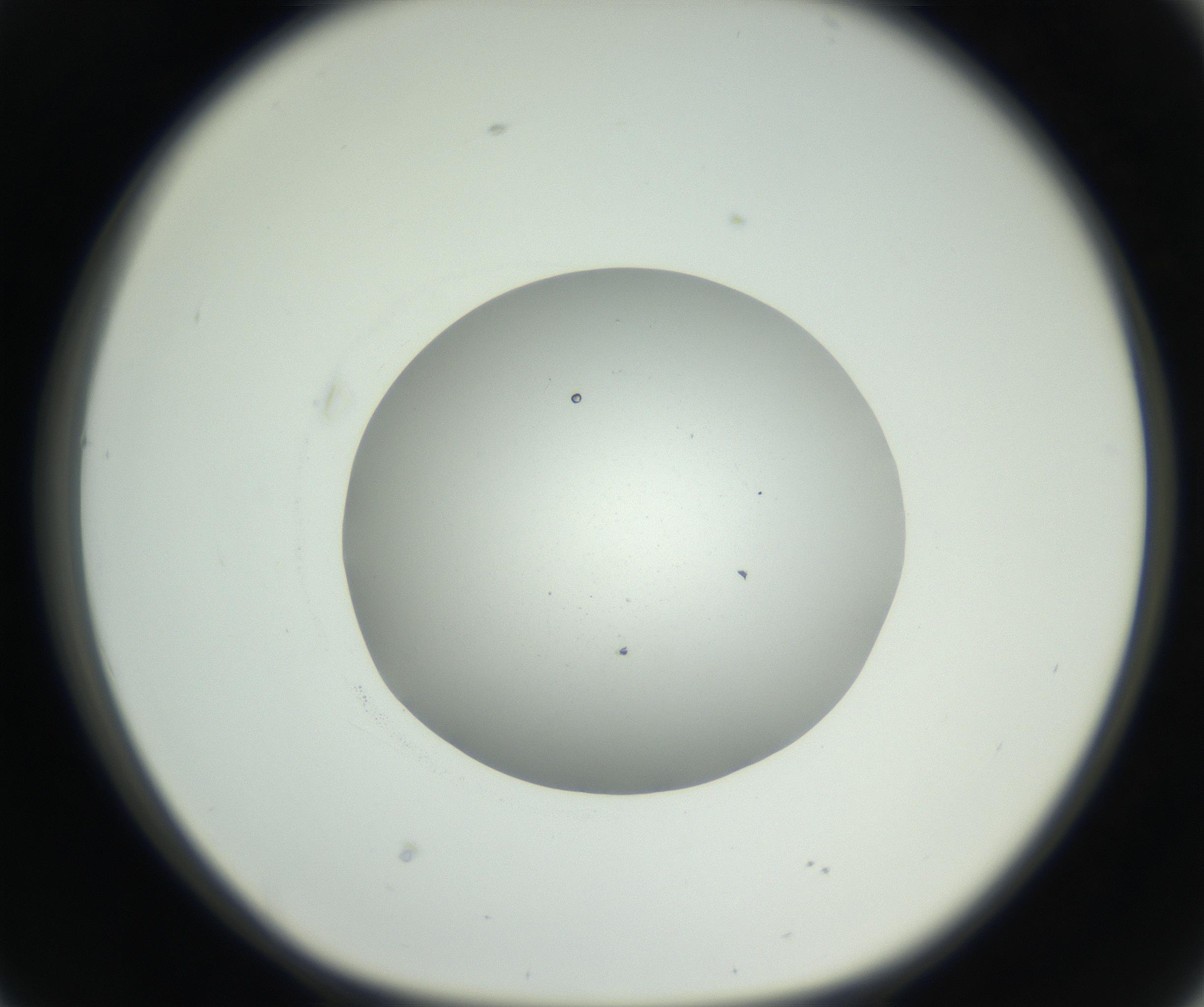 RI01_03_000_0212_Proj1_Clon1_MC_0000MC102666_004_160828_02_04_01_00_99_002_001_RAI.jpg
