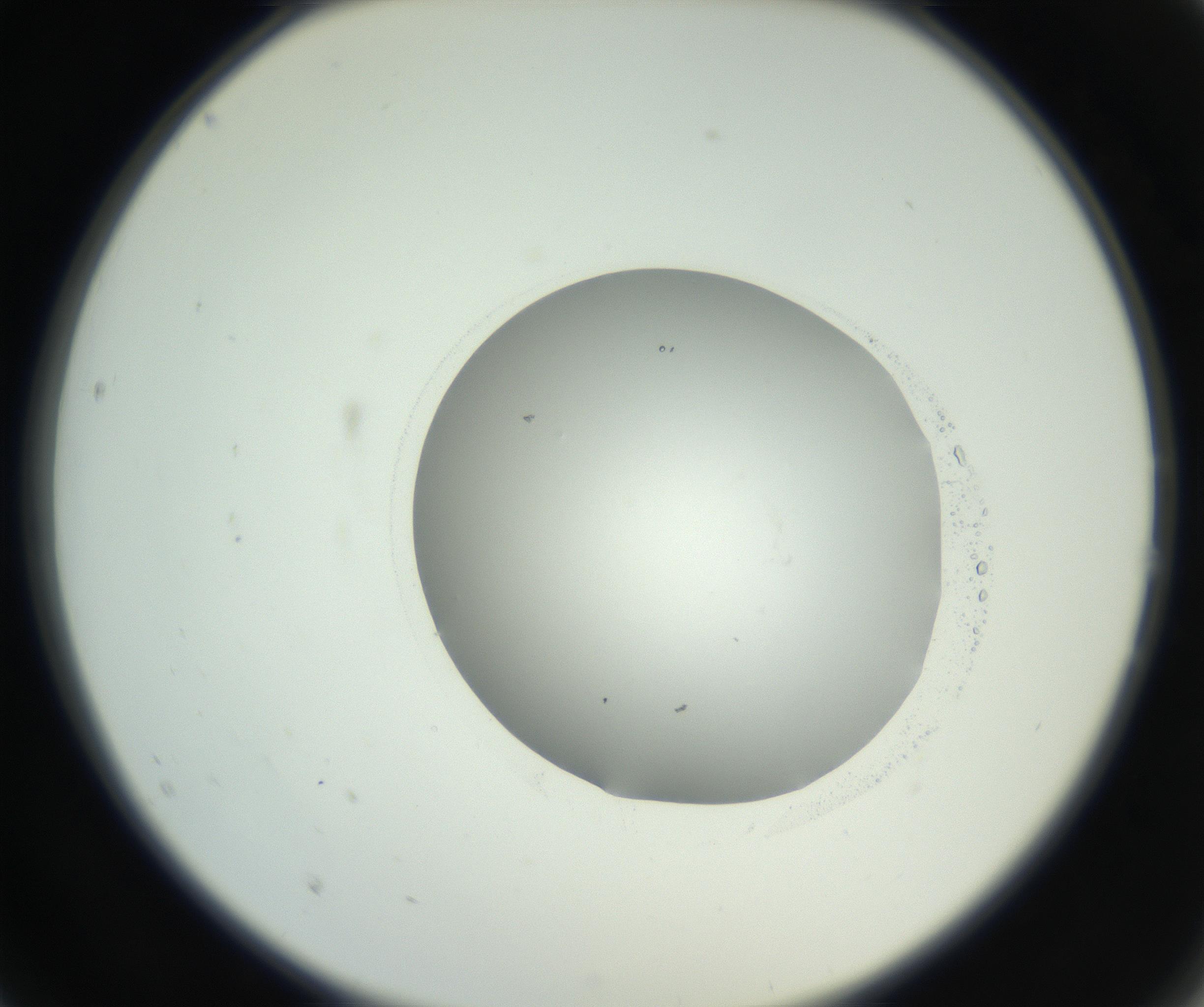 RI01_03_000_0212_Proj1_Clon1_MC_0000MC102666_005_160830_02_02_02_00_99_002_001_RAI.jpg