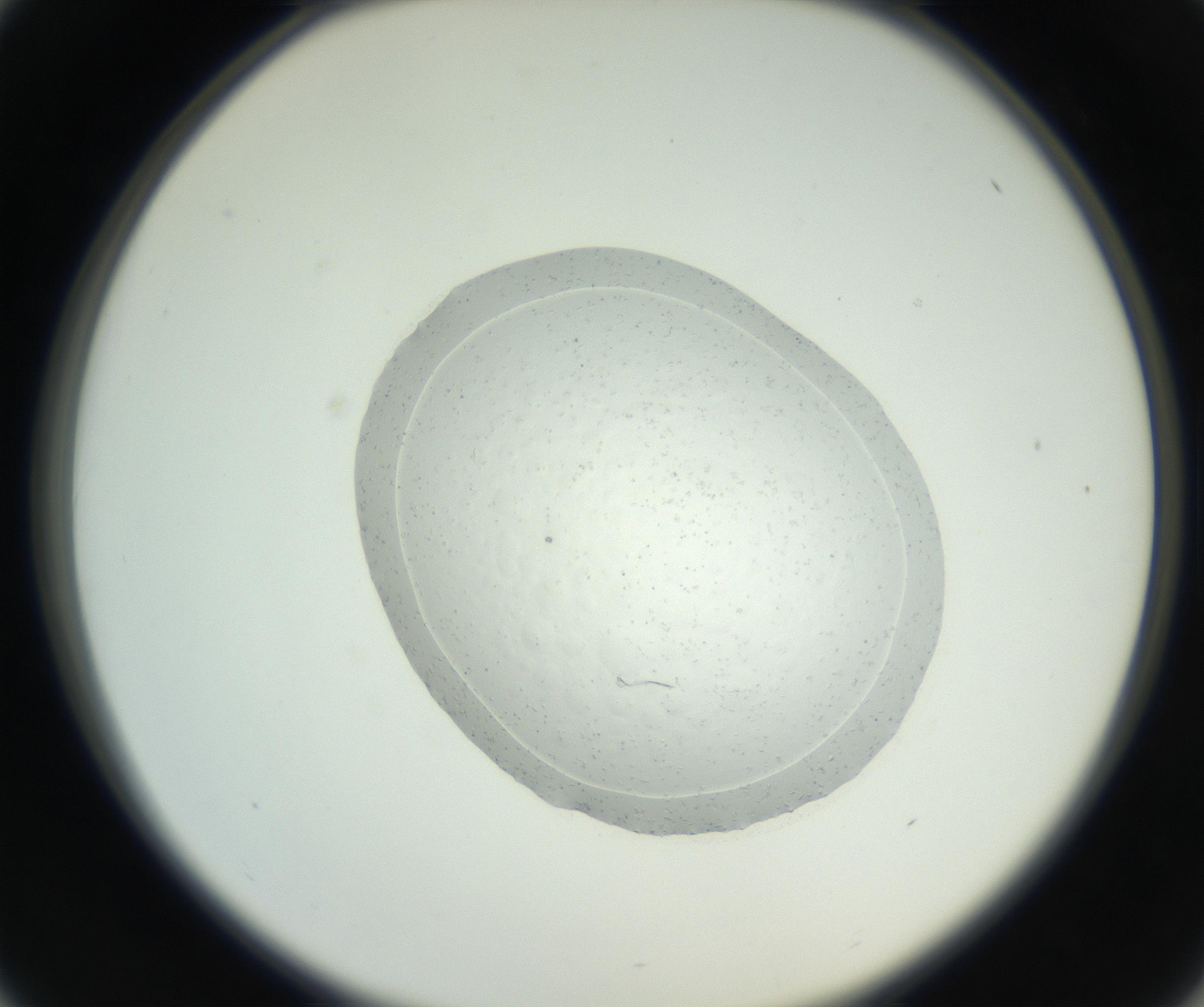 RI01_03_000_0212_Proj1_Clon1_MC_0000MC102667_004_160828_01_04_02_00_99_002_001_RAI.jpg