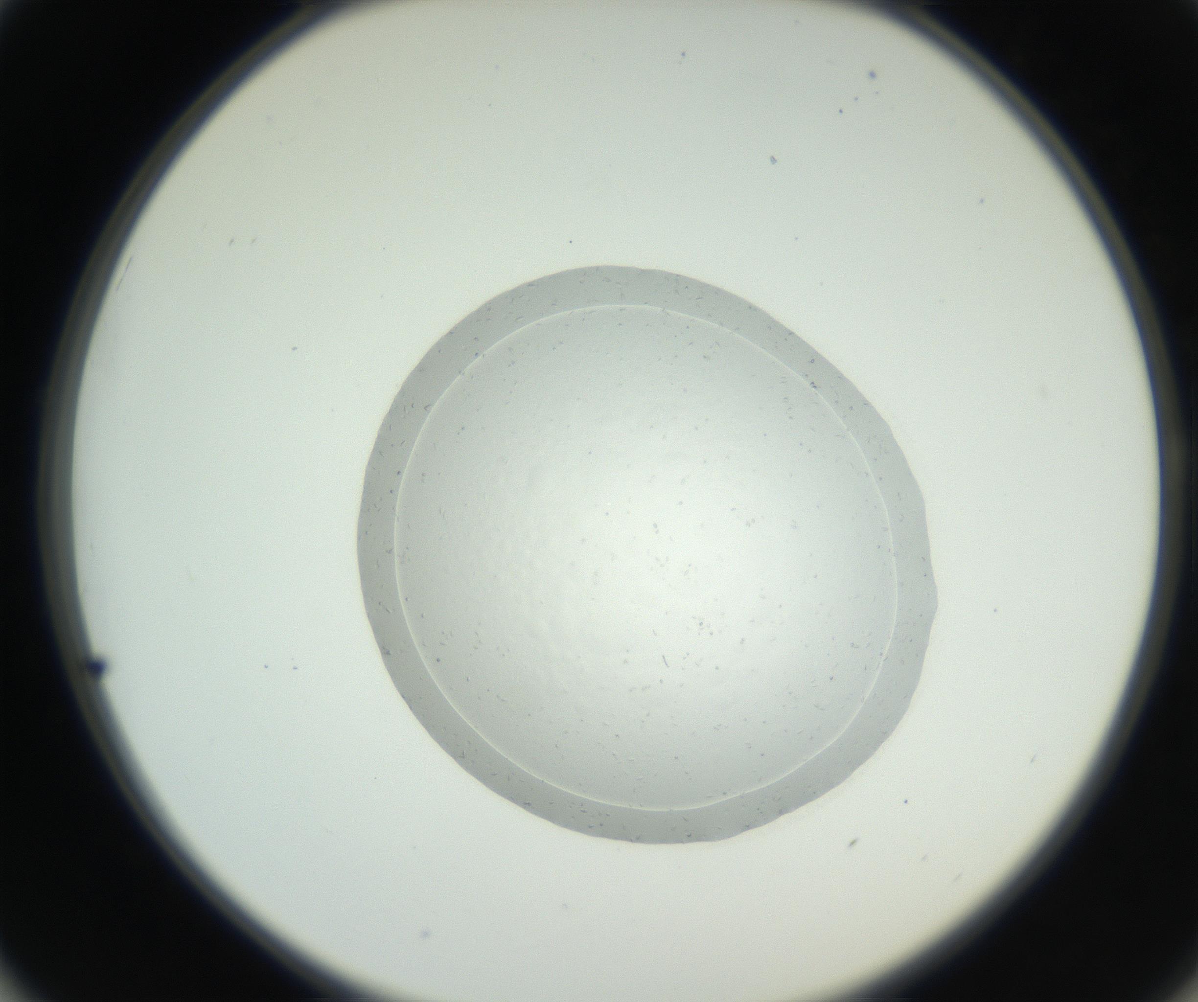 RI01_03_000_0212_Proj1_Clon1_MC_0000MC102667_004_160828_01_05_02_00_99_002_001_RAI.jpg