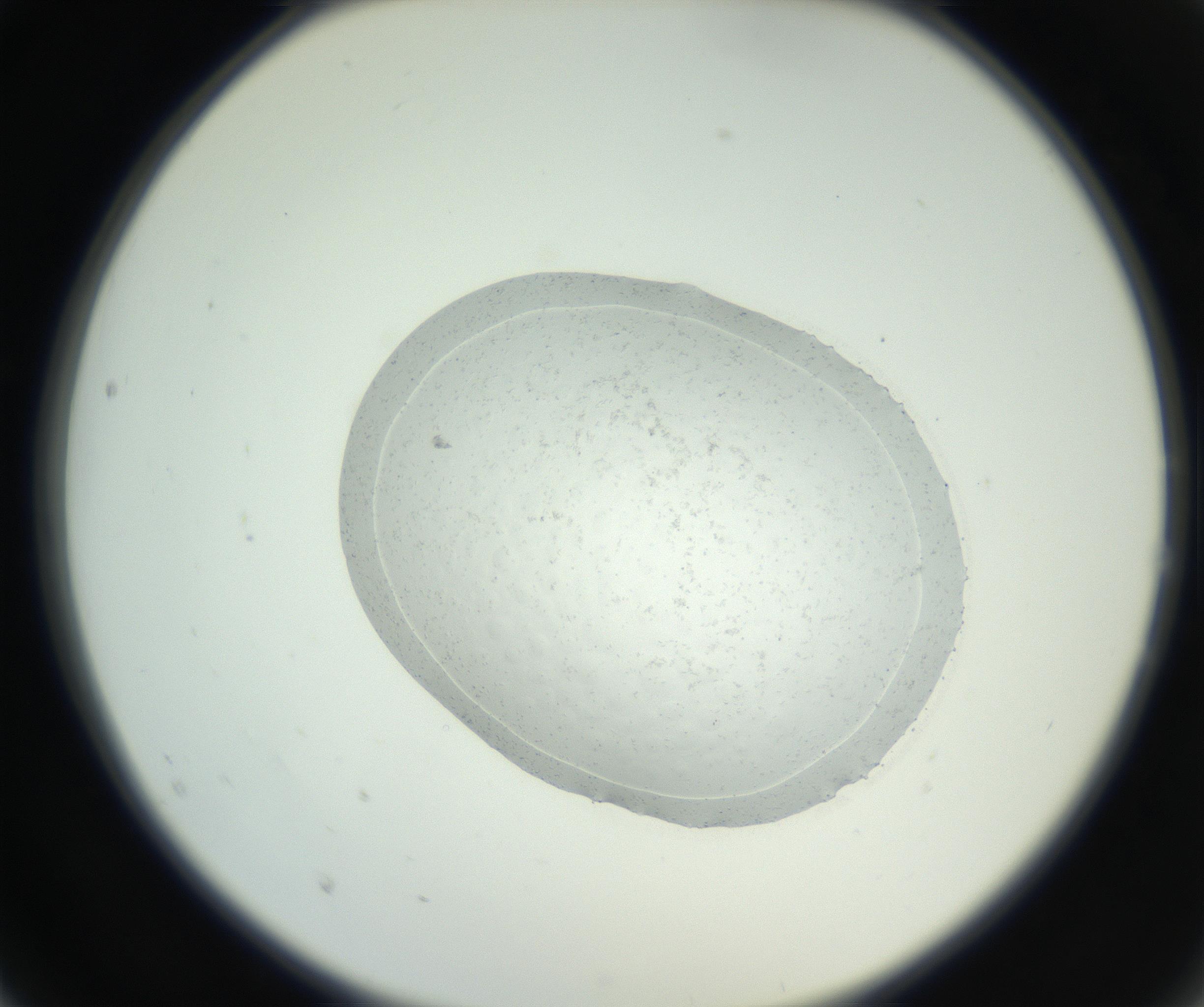 RI01_03_000_0212_Proj1_Clon1_MC_0000MC102667_004_160828_02_02_02_00_99_002_001_RAI.jpg