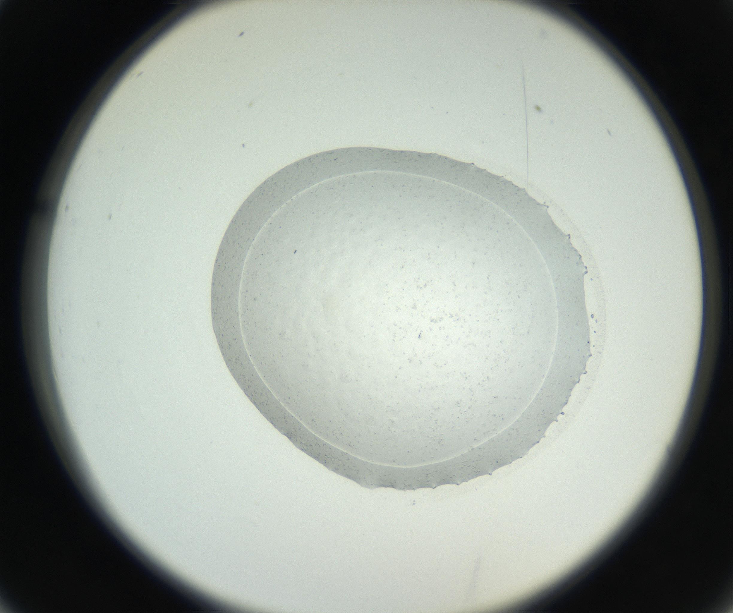 RI01_03_000_0212_Proj1_Clon1_MC_0000MC102667_004_160828_02_03_02_00_99_002_001_RAI.jpg