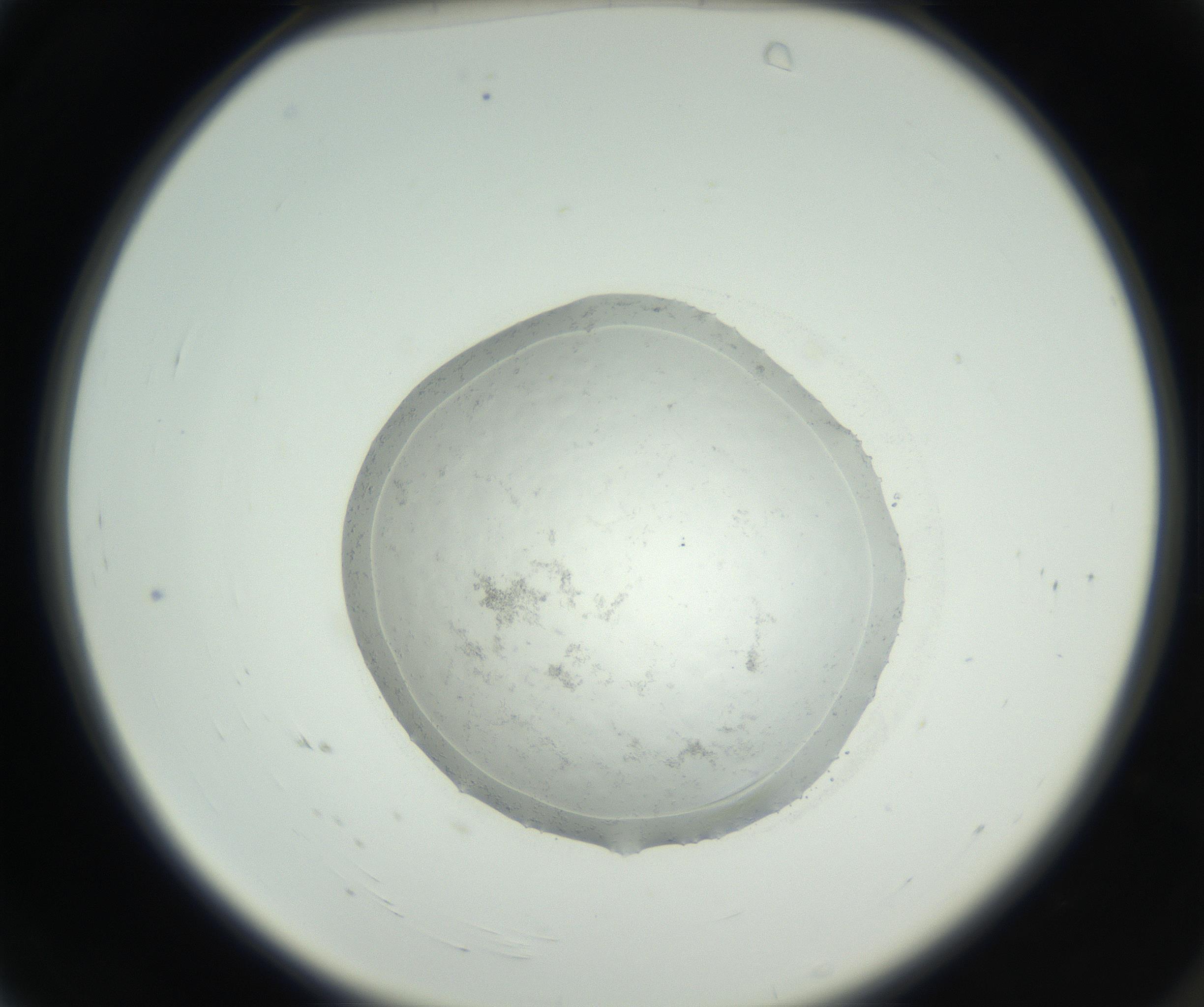 RI01_03_000_0212_Proj1_Clon1_MC_0000MC102667_004_160828_04_01_02_00_99_002_001_RAI.jpg