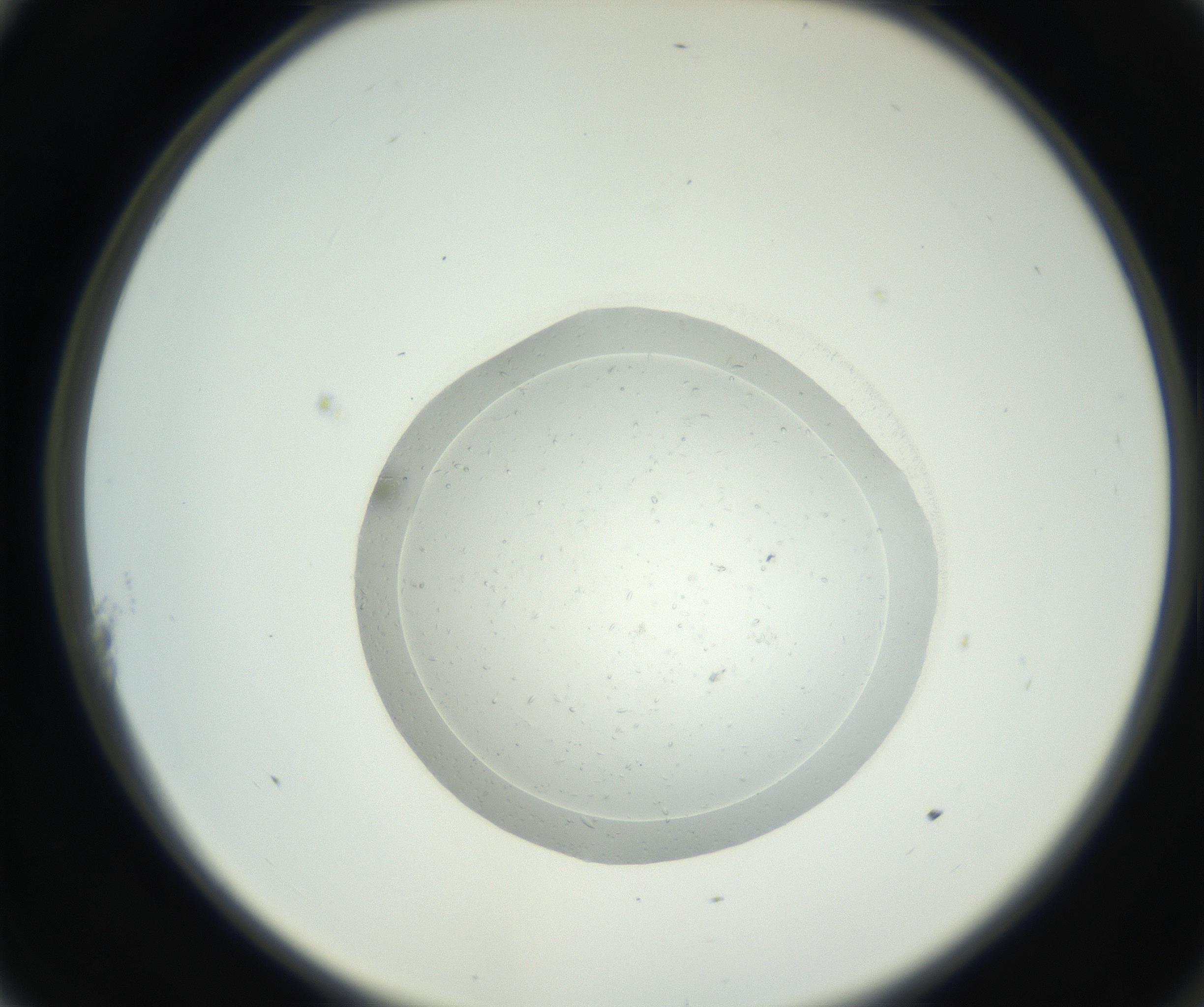 RI01_03_000_0212_Proj1_Clon1_MC_0000MC102667_004_160828_11_01_02_00_99_002_001_RAI.jpg