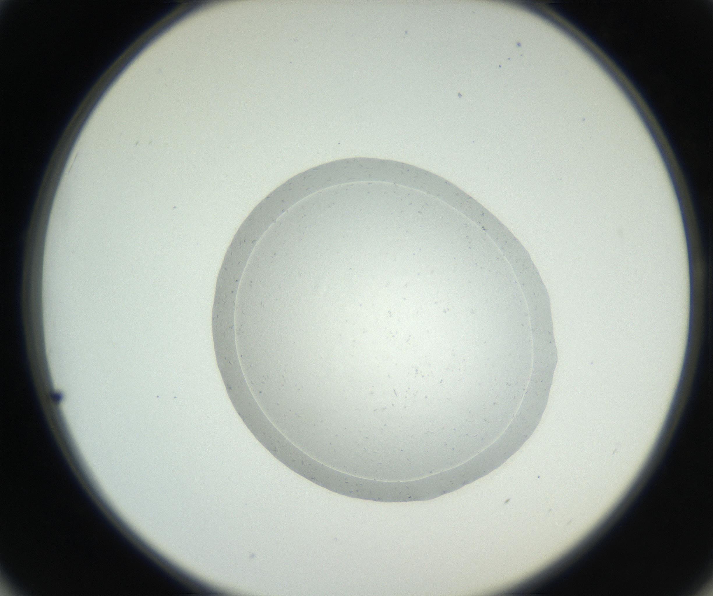RI01_03_000_0212_Proj1_Clon1_MC_0000MC102667_005_160830_01_05_02_00_99_002_001_RAI.jpg