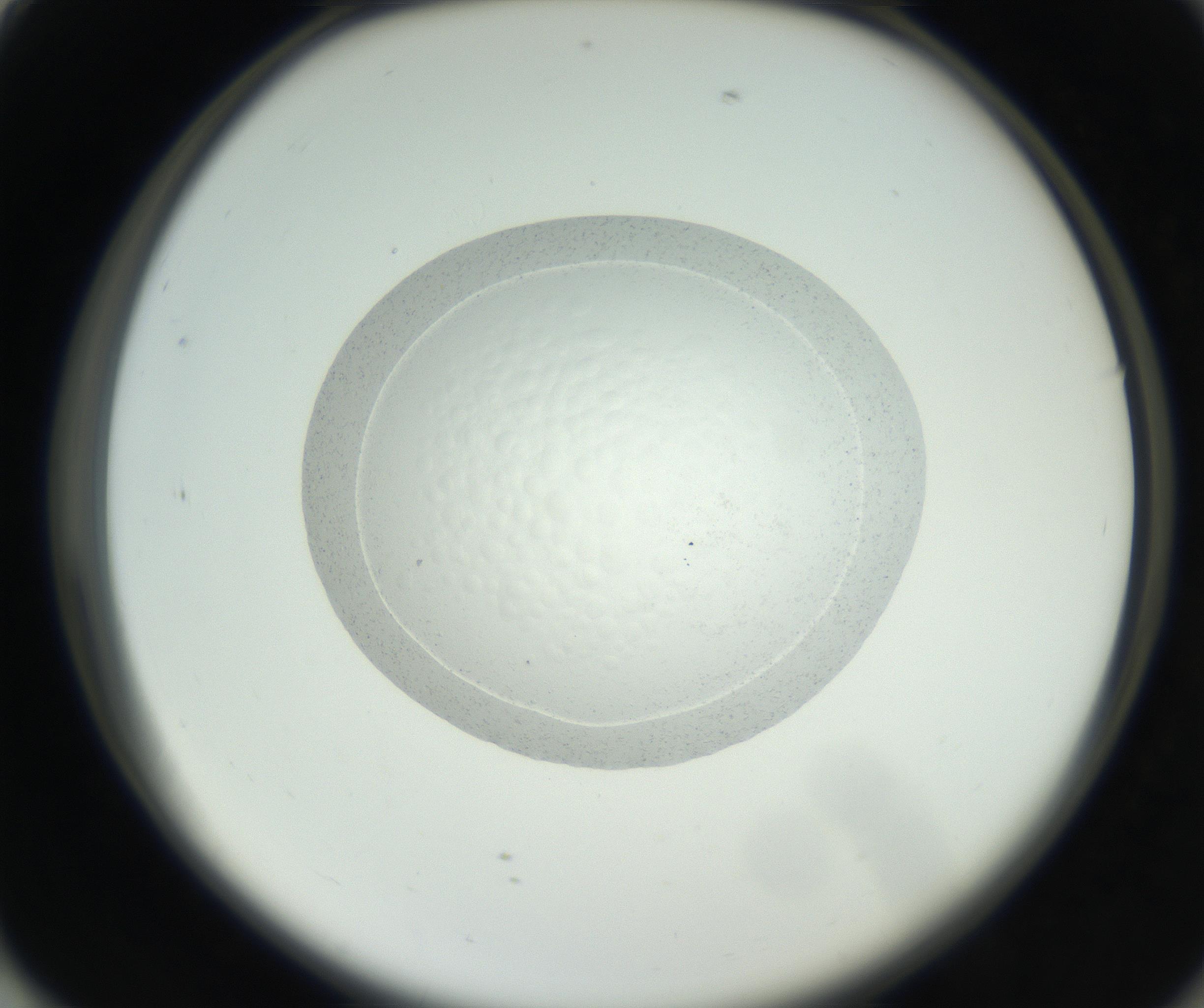 RI01_03_000_0212_Proj1_Clon1_MC_0000MC102667_005_160830_01_07_02_00_99_002_001_RAI.jpg