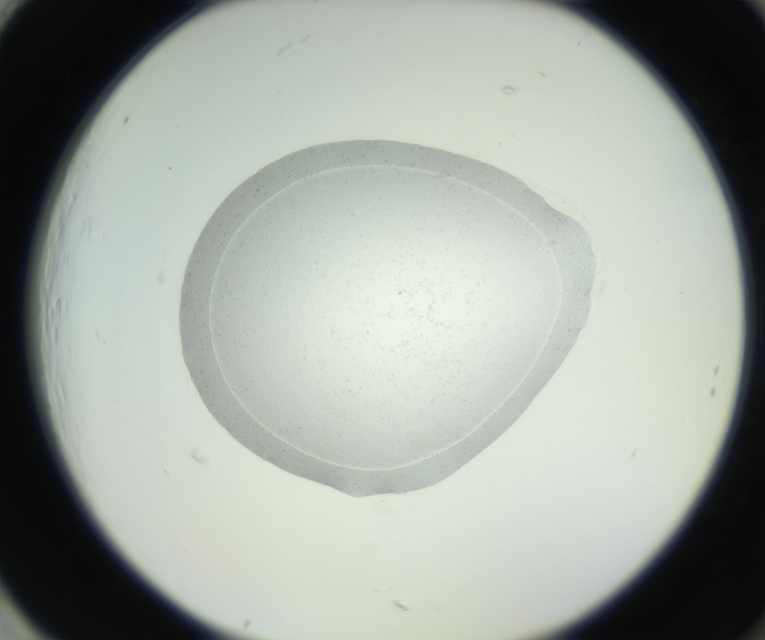 RI01_03_000_0212_Proj1_Clon1_MC_0000MC102667_005_160830_01_08_02_00_99_002_001_RAI.jpg