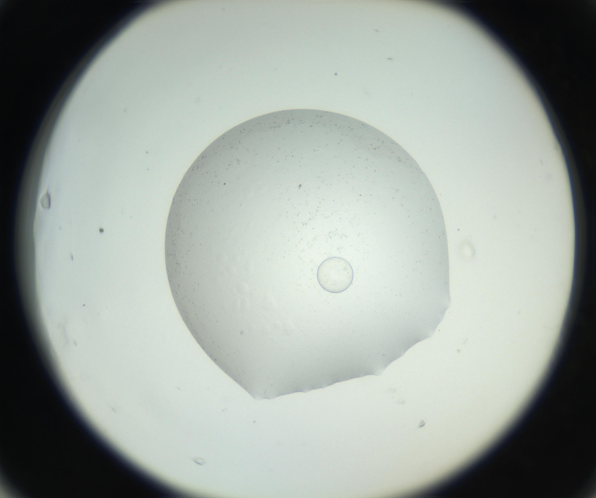 RI01_03_000_0212_Proj1_Clon1_MC_0000MC102667_005_160830_03_06_02_00_99_002_001_RAI.jpg