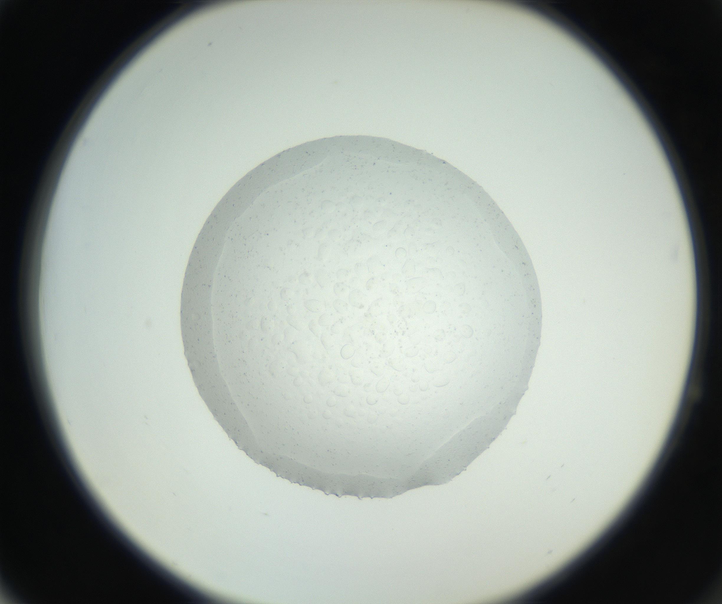 RI01_03_000_0212_Proj1_Clon1_MC_0000MC102667_005_160830_04_06_02_00_99_002_001_RAI.jpg
