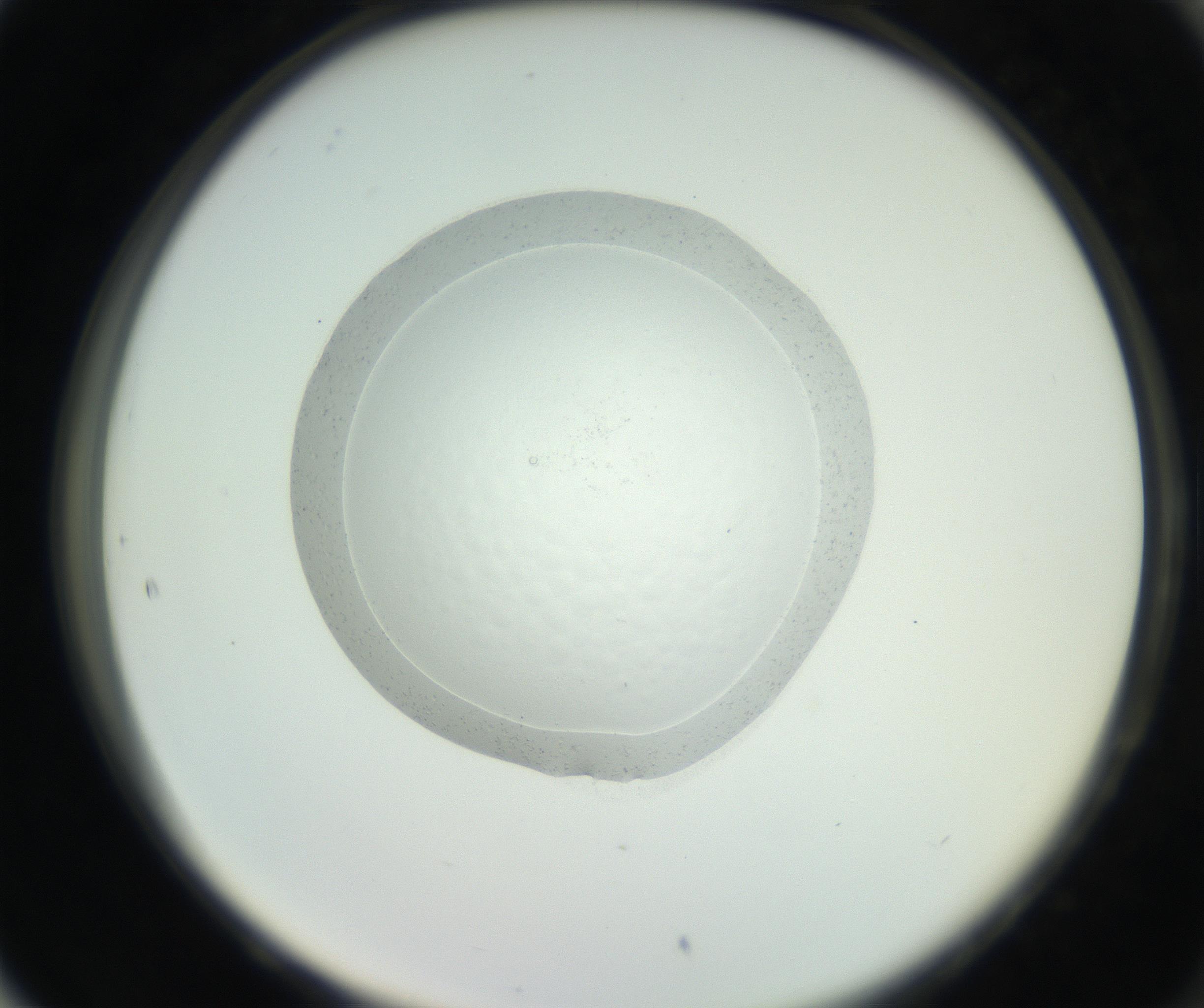 RI01_03_000_0212_Proj1_Clon1_MC_0000MC102667_005_160830_05_08_02_00_99_002_001_RAI.jpg