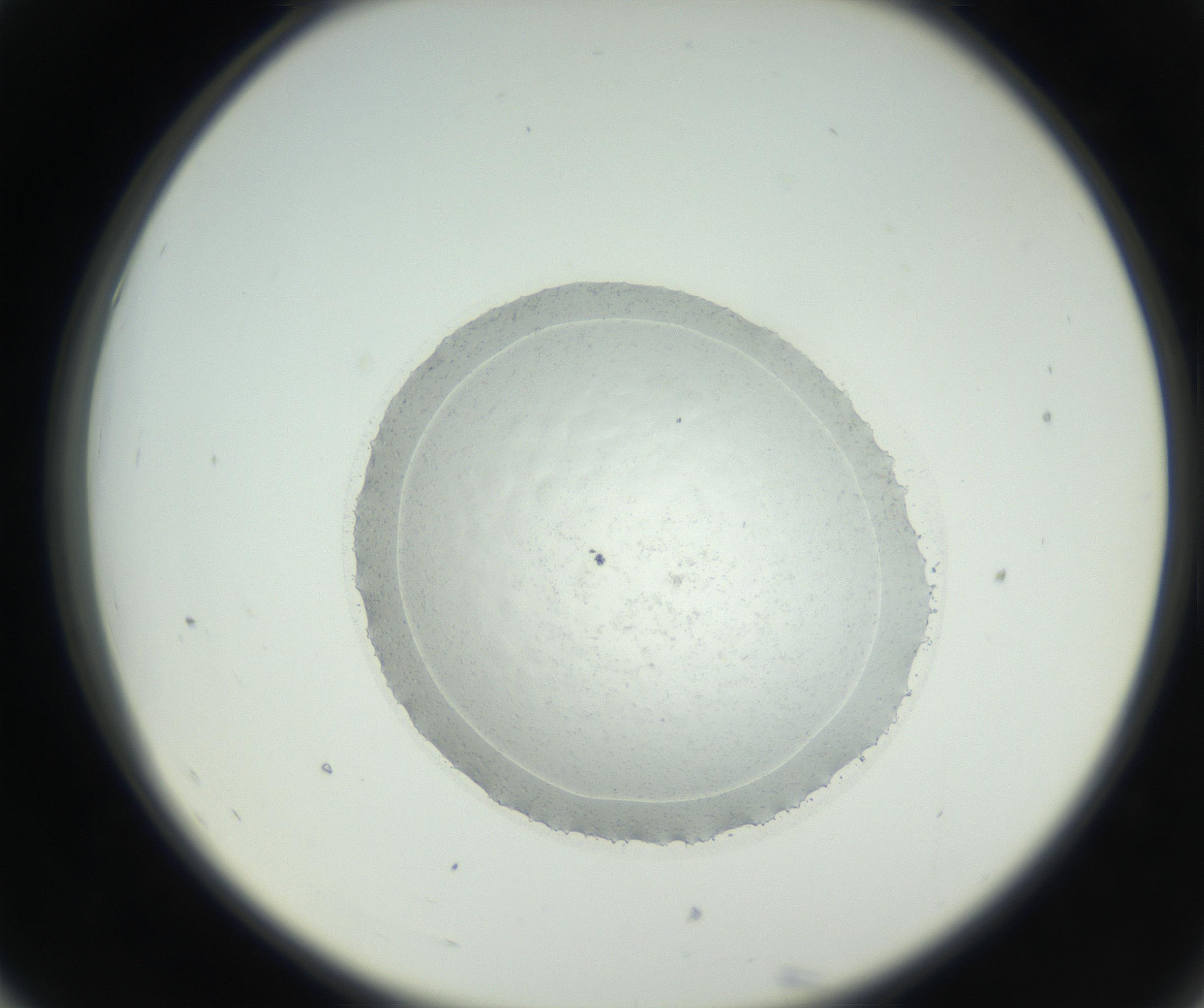 RI01_03_000_0212_Proj1_Clon1_MC_0000MC102667_005_160830_07_05_02_00_99_002_001_RAI.jpg