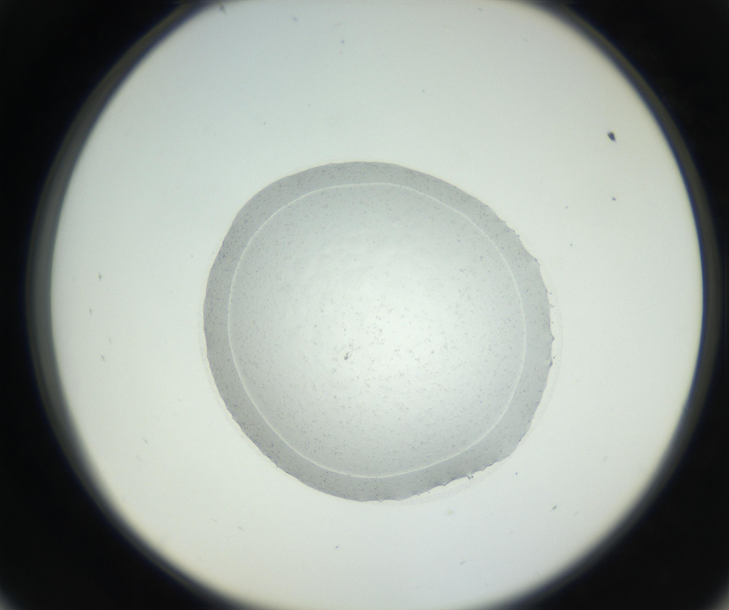 RI01_03_000_0212_Proj1_Clon1_MC_0000MC102667_005_160830_09_05_02_00_99_002_001_RAI.jpg