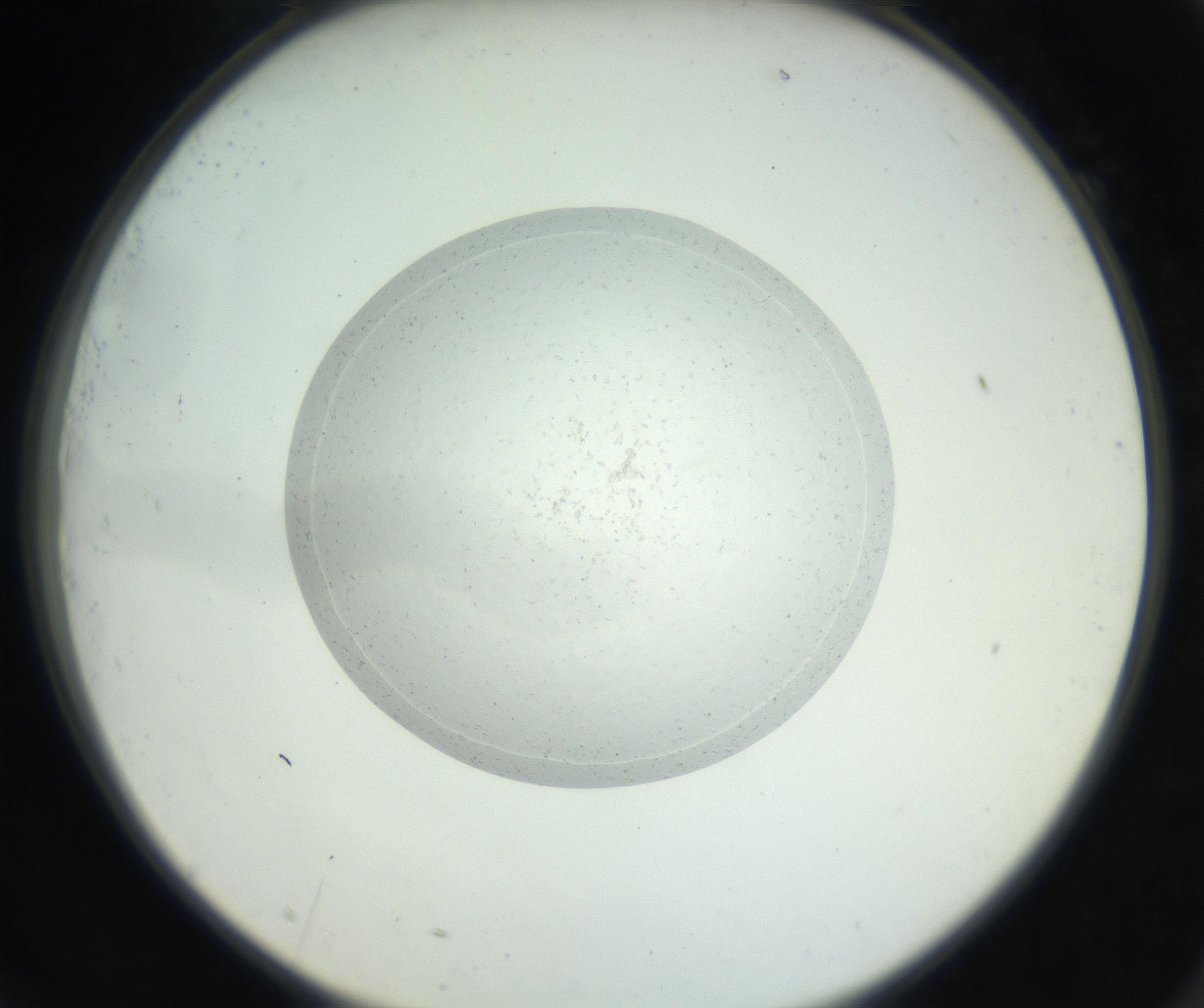 RI01_03_000_0212_Proj1_Clon1_MC_0000MC102667_005_160830_09_07_02_00_99_002_001_RAI.jpg
