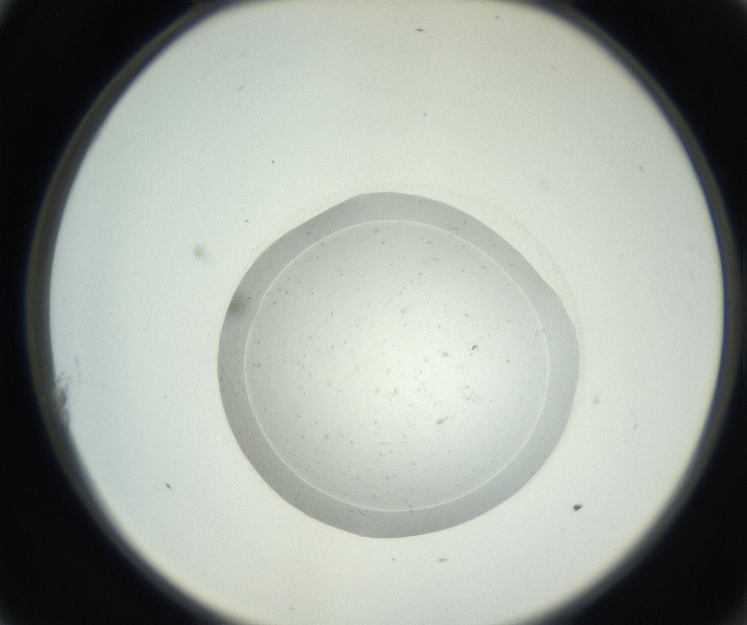 RI01_03_000_0212_Proj1_Clon1_MC_0000MC102667_005_160830_11_01_02_00_99_002_001_RAI.jpg