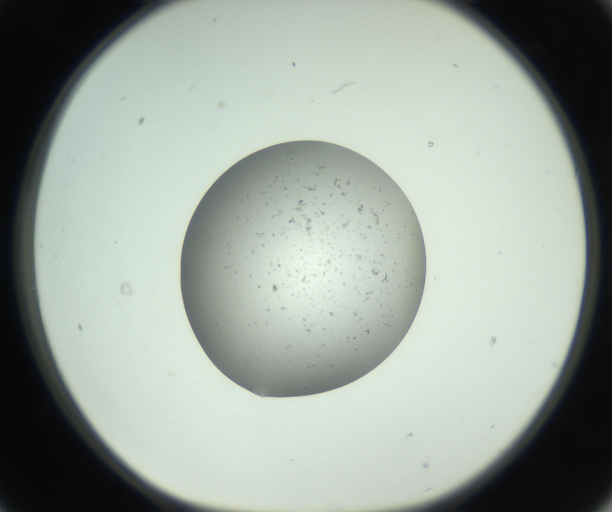 RI01_03_000_0212_Proj1_Clon1_MC_0000MC102689_011_161008_09_02_01_00_99_002_001_RAI.jpg