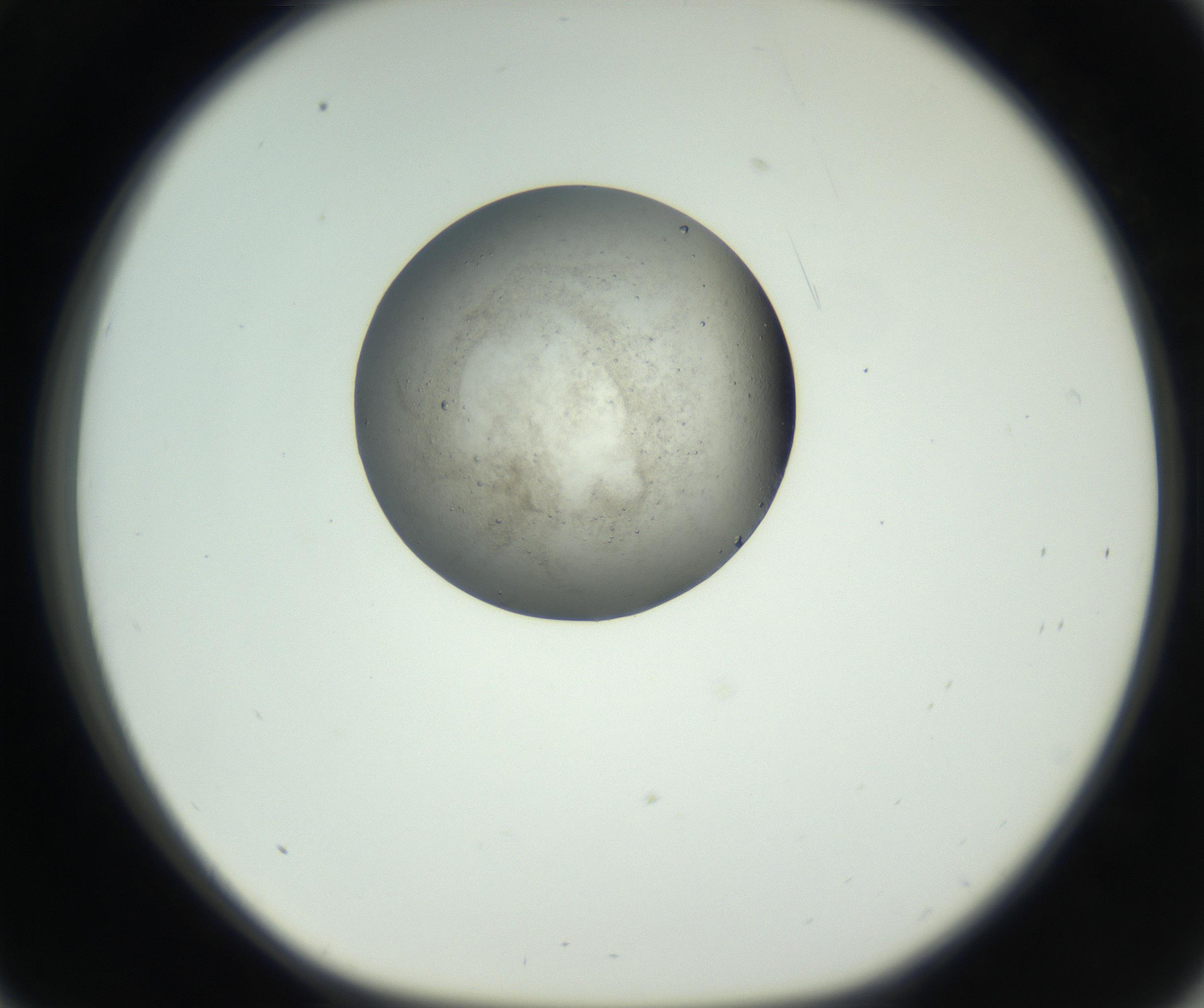 RI01_03_000_0212_Proj1_Clon1_MC_0000MC102690_006_160909_09_03_01_00_99_002_001_RAI.jpg