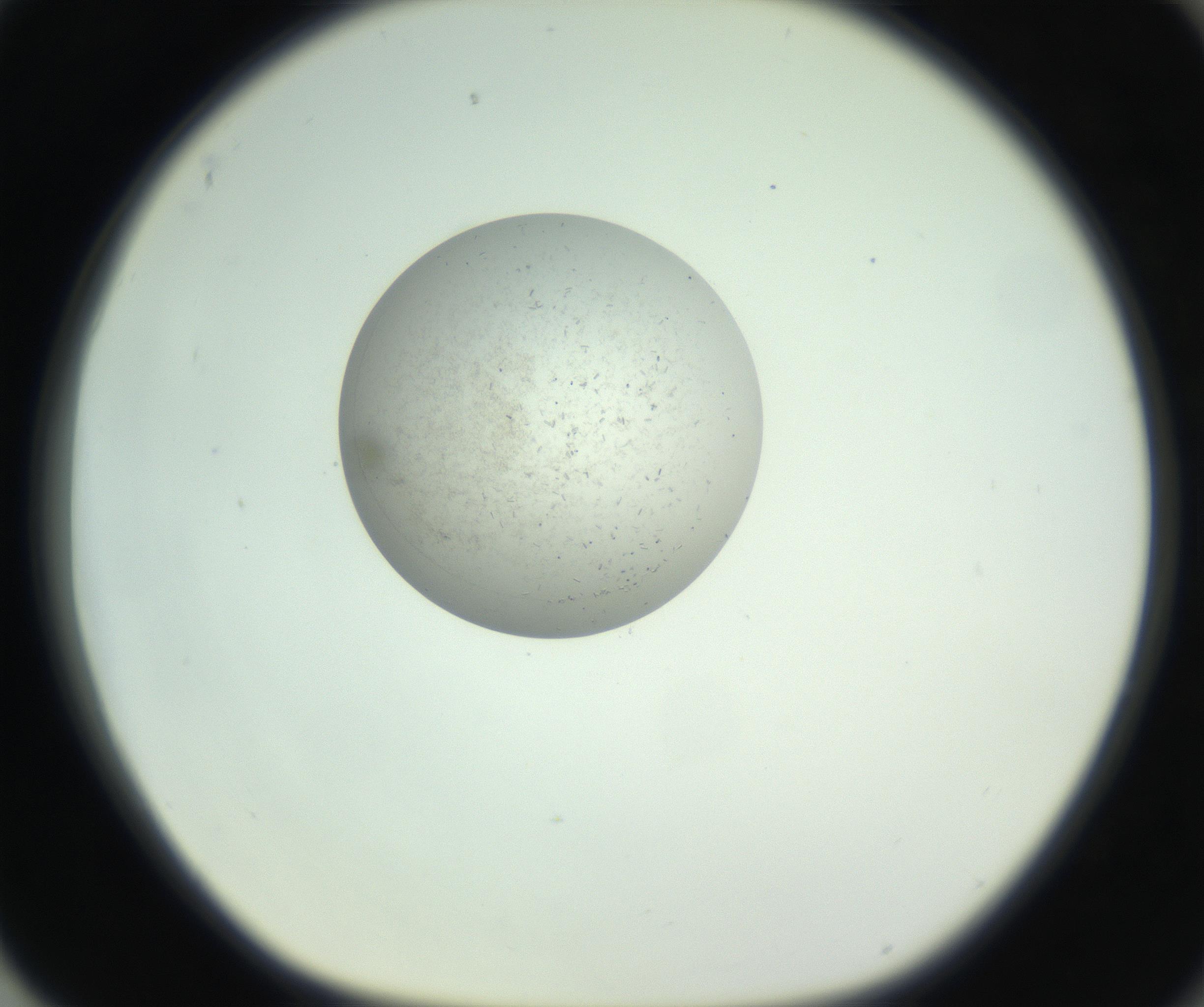 RI01_03_000_0212_Proj1_Clon1_MC_0000MC102691_010_161005_04_08_01_00_99_002_001_RAI.jpg