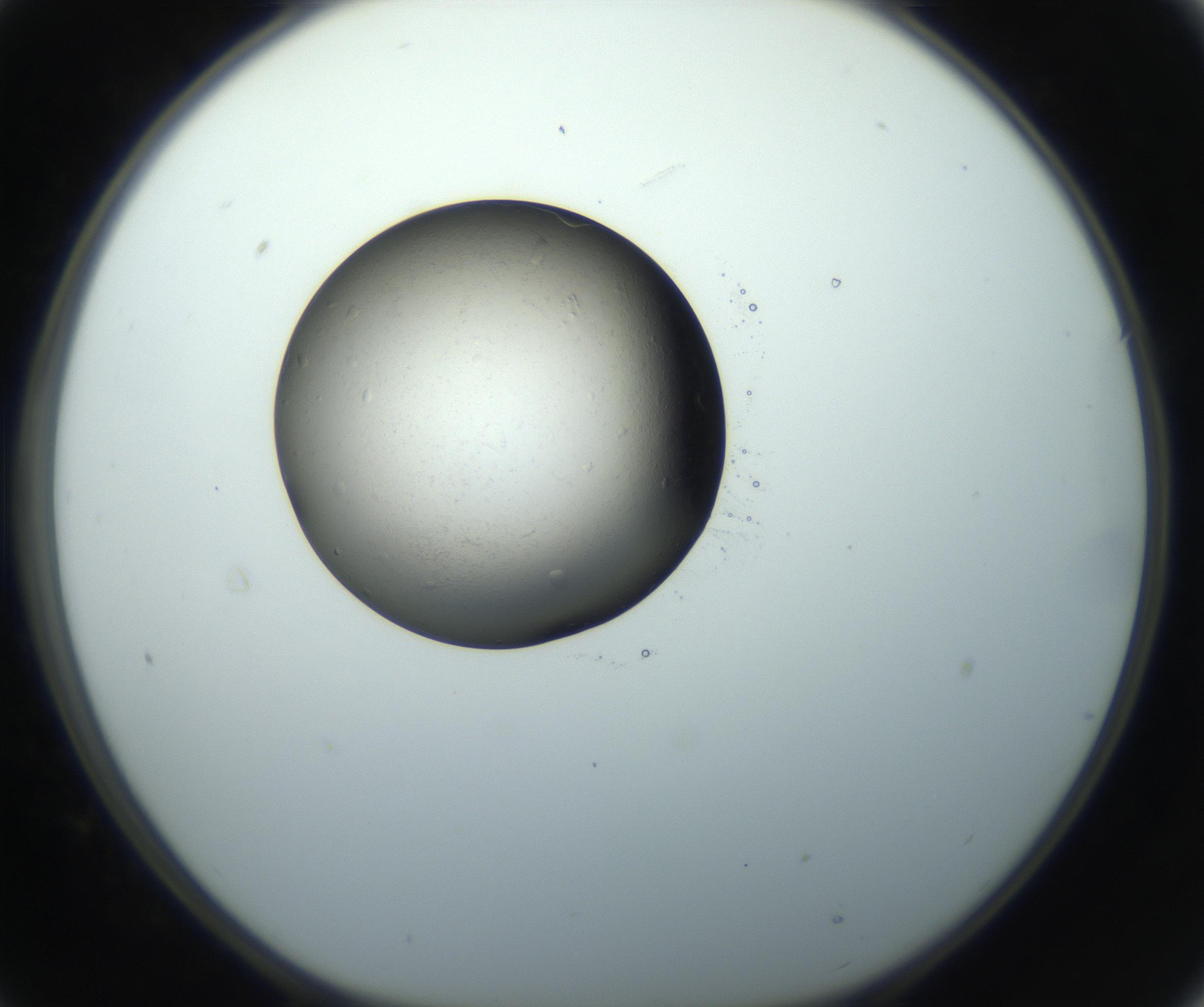 RI01_03_000_0212_Proj1_Clon1_MC_0000MC102700_009_160929_09_02_01_00_99_002_001_RAI.jpg