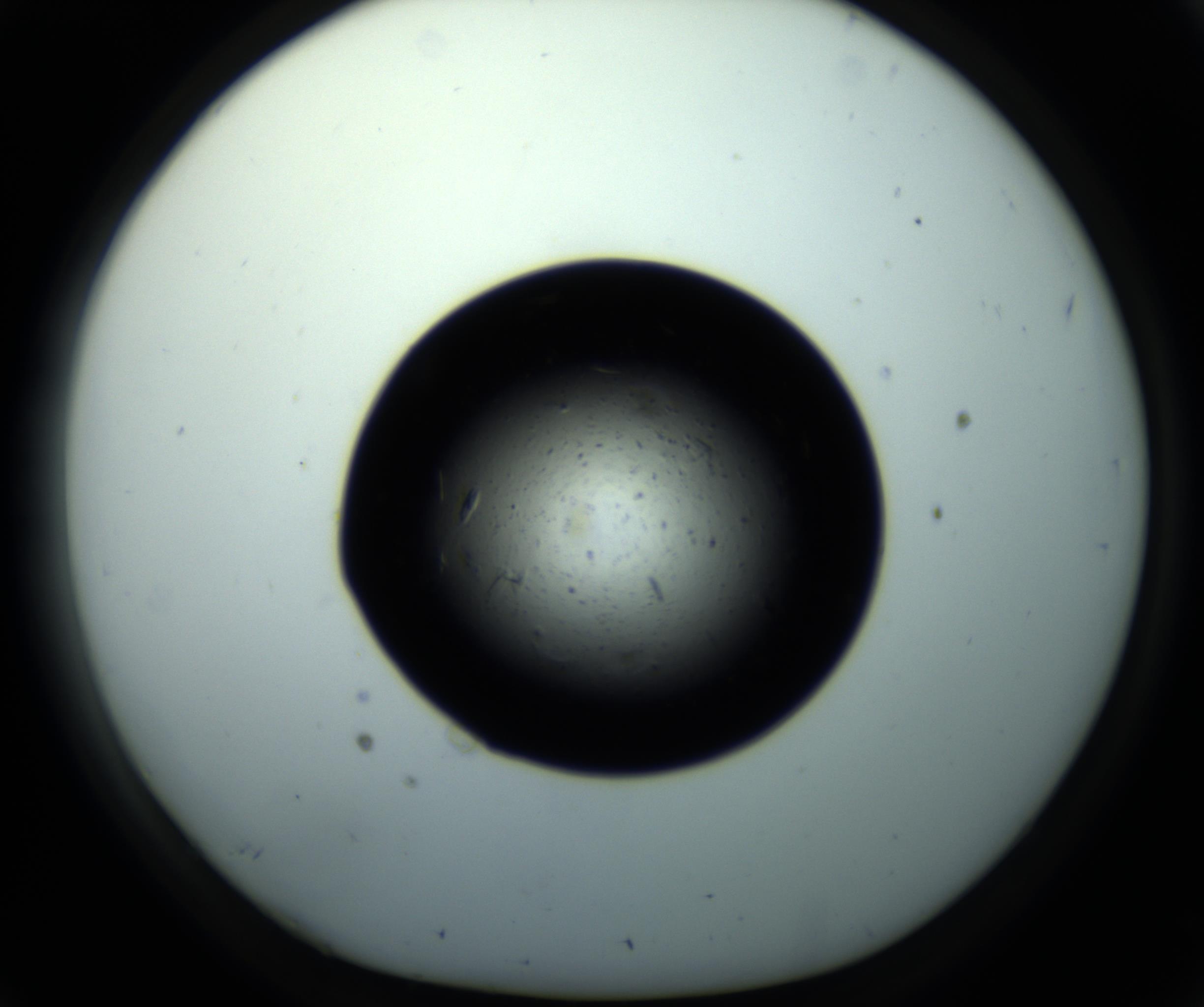 RI01_03_000_0212_Proj1_Clon1_MC_0000MC102703_011_161014_02_03_01_00_98_002_001_RAI.jpg