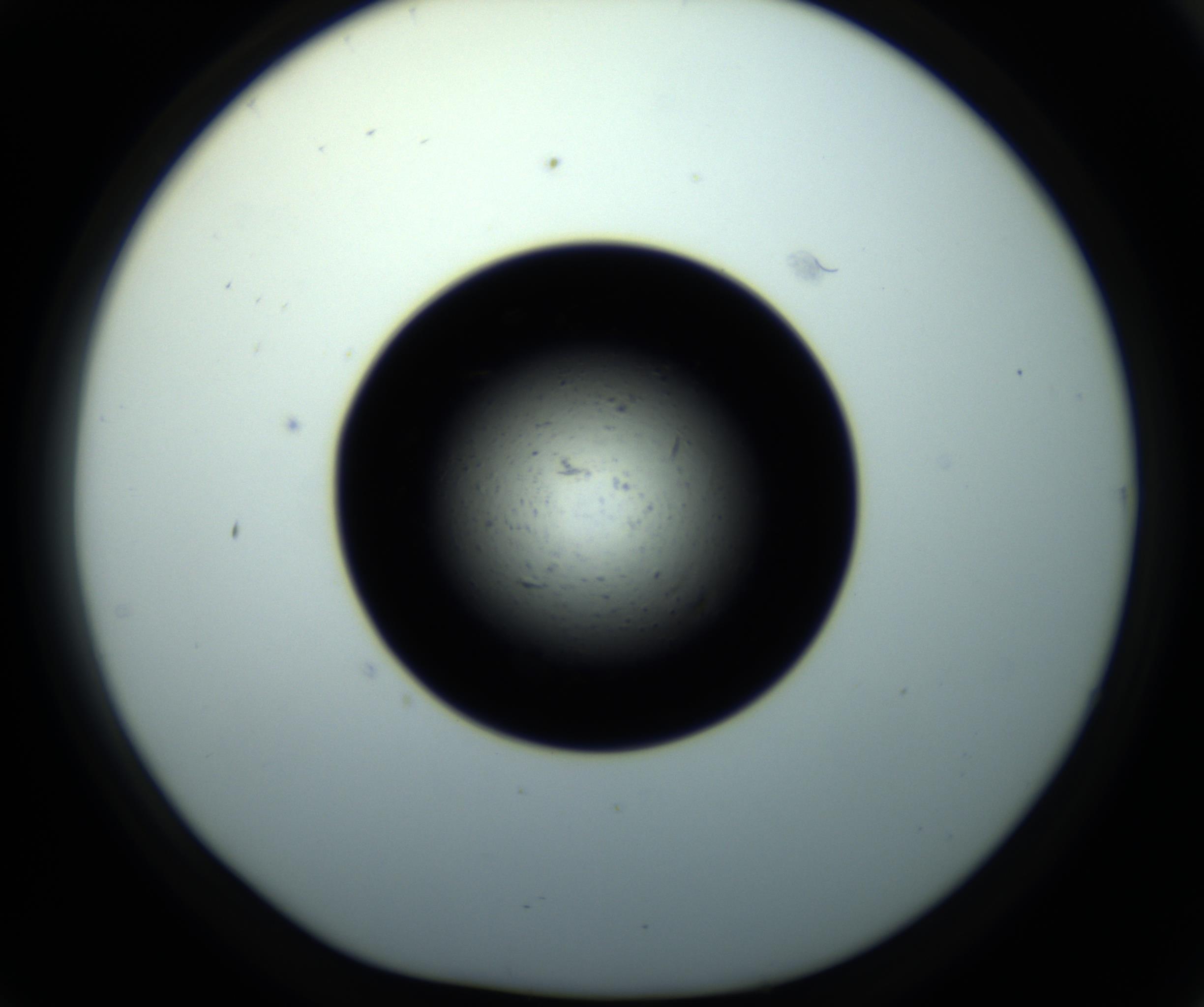 RI01_03_000_0212_Proj1_Clon1_MC_0000MC102703_011_161014_02_05_01_00_98_002_001_RAI.jpg