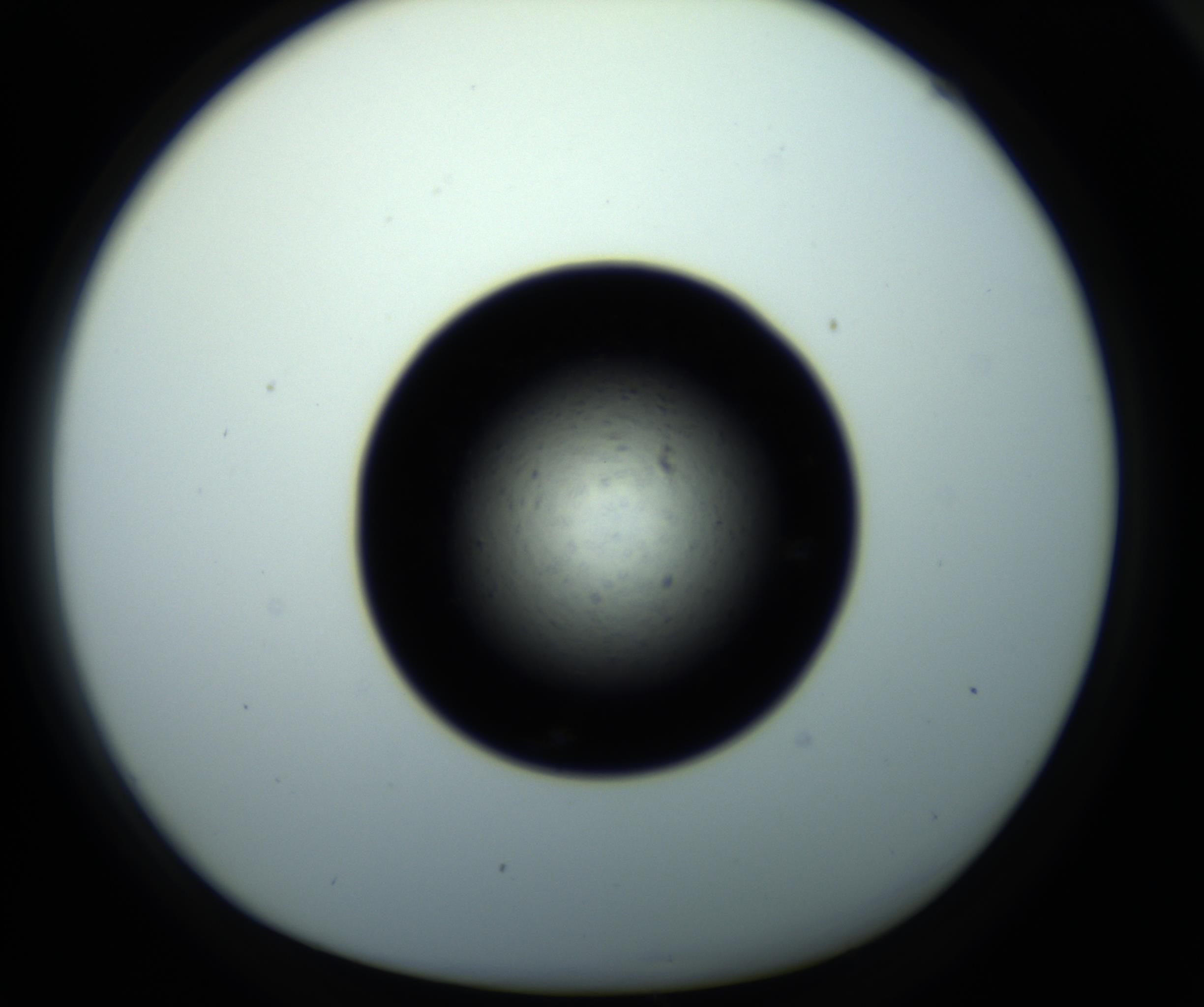 RI01_03_000_0212_Proj1_Clon1_MC_0000MC102703_011_161014_04_06_01_00_98_002_001_RAI.jpg