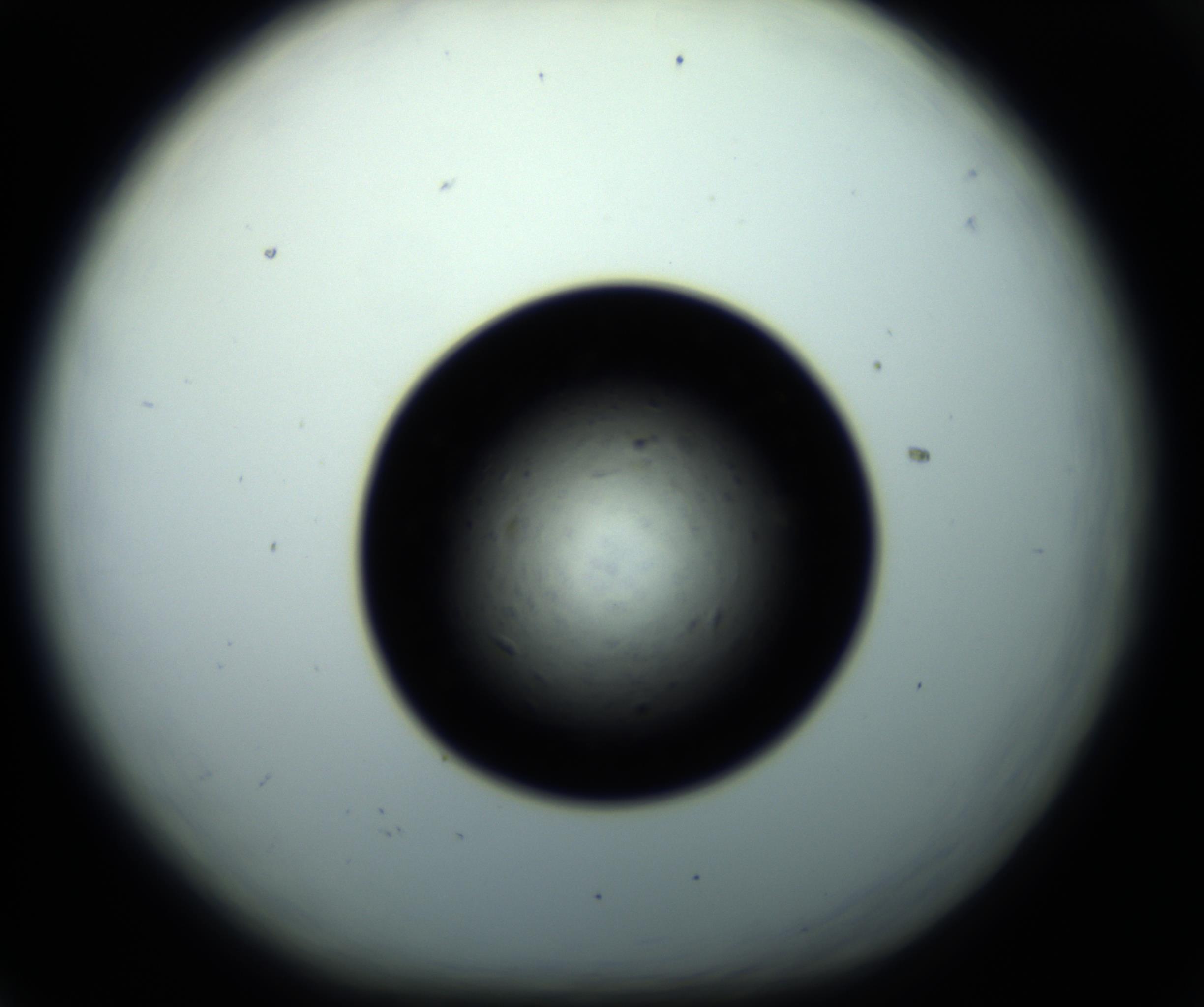 RI01_03_000_0212_Proj1_Clon1_MC_0000MC102703_011_161014_05_06_01_00_98_002_001_RAI.jpg