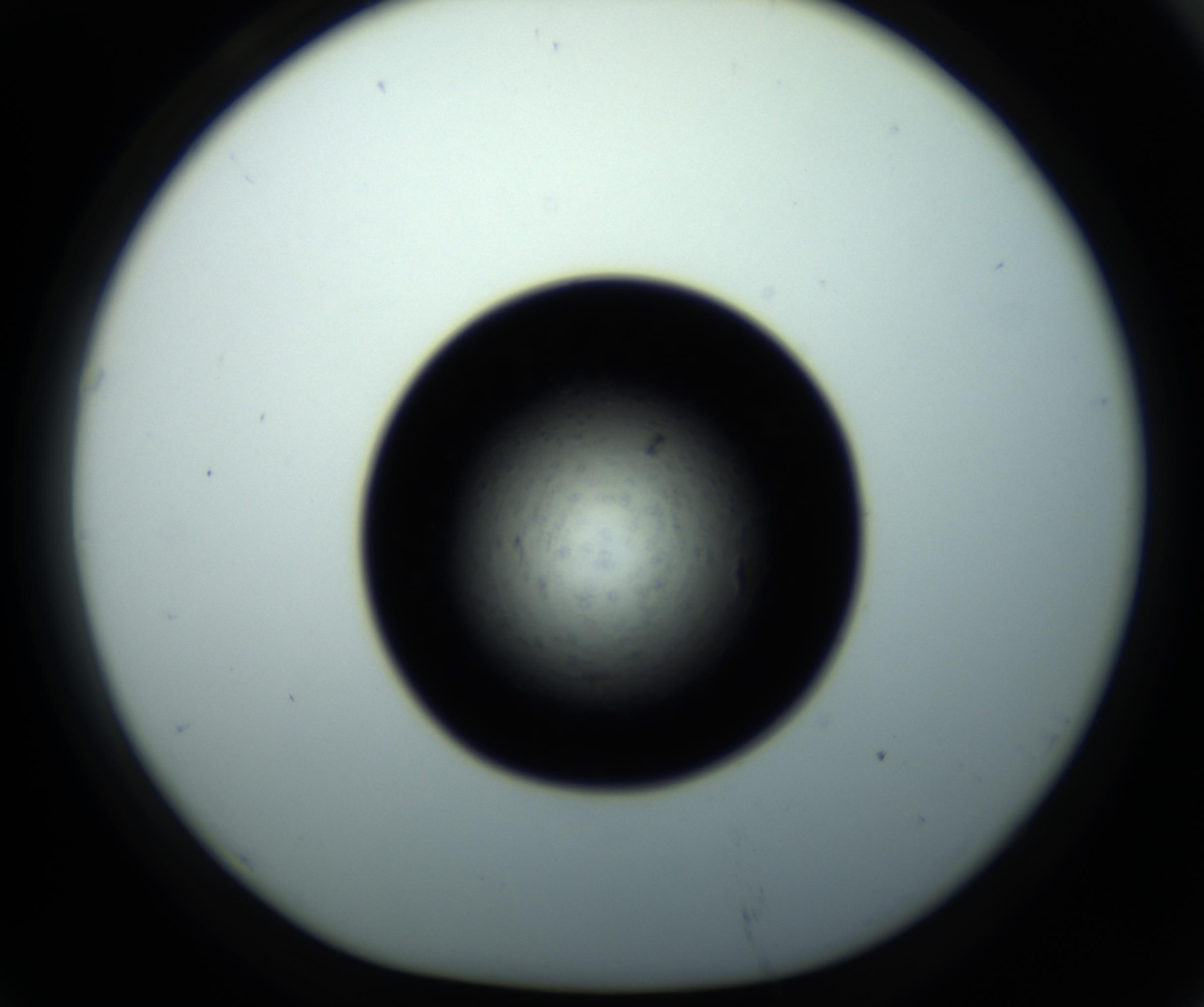 RI01_03_000_0212_Proj1_Clon1_MC_0000MC102703_011_161014_07_06_01_00_98_002_001_RAI.jpg
