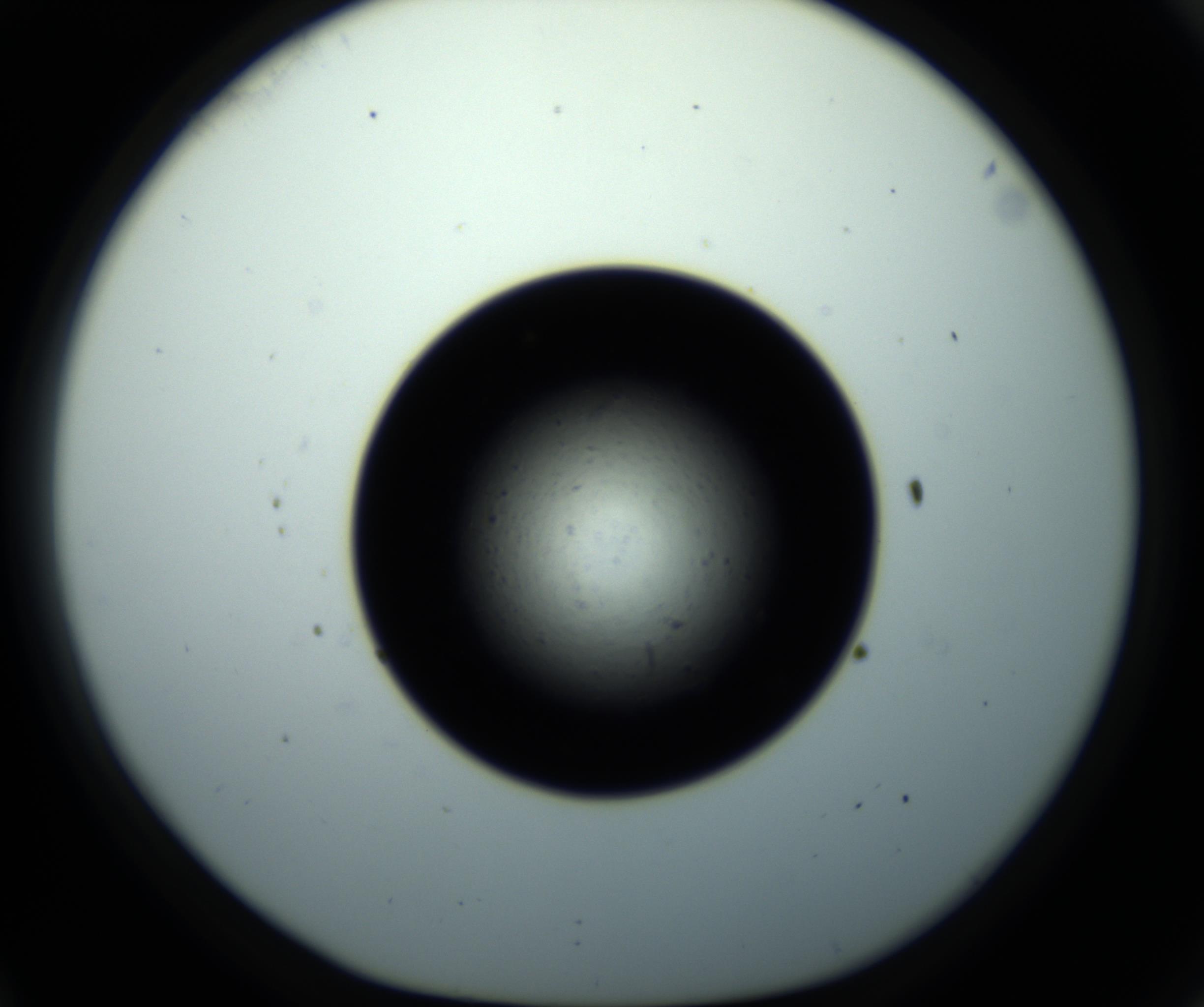 RI01_03_000_0212_Proj1_Clon1_MC_0000MC102703_011_161014_11_03_01_00_98_002_001_RAI.jpg