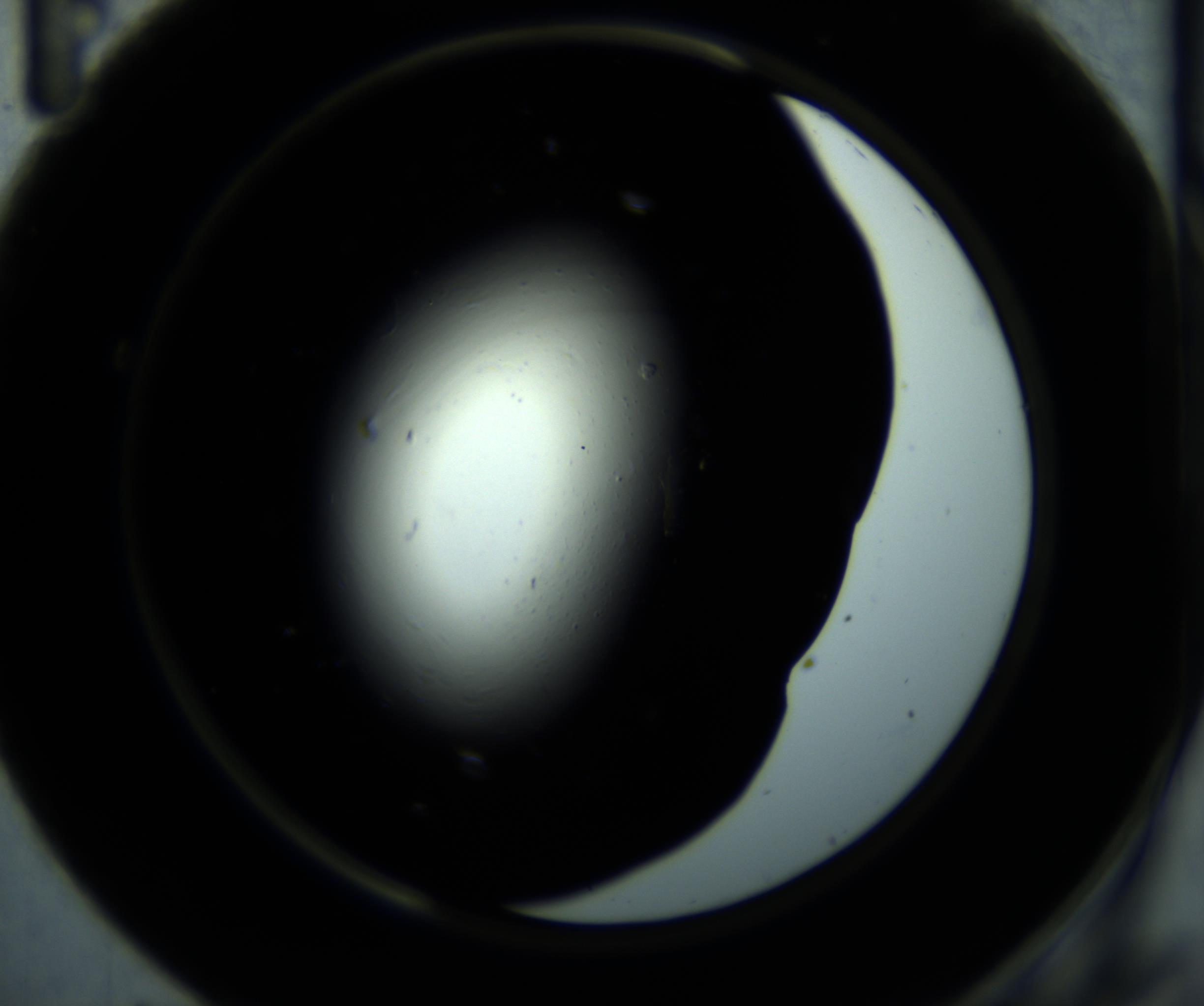 RI01_03_000_0212_Proj1_Clon1_MC_0000MC102703_012_161104_11_04_02_00_98_002_001_RAI.jpg