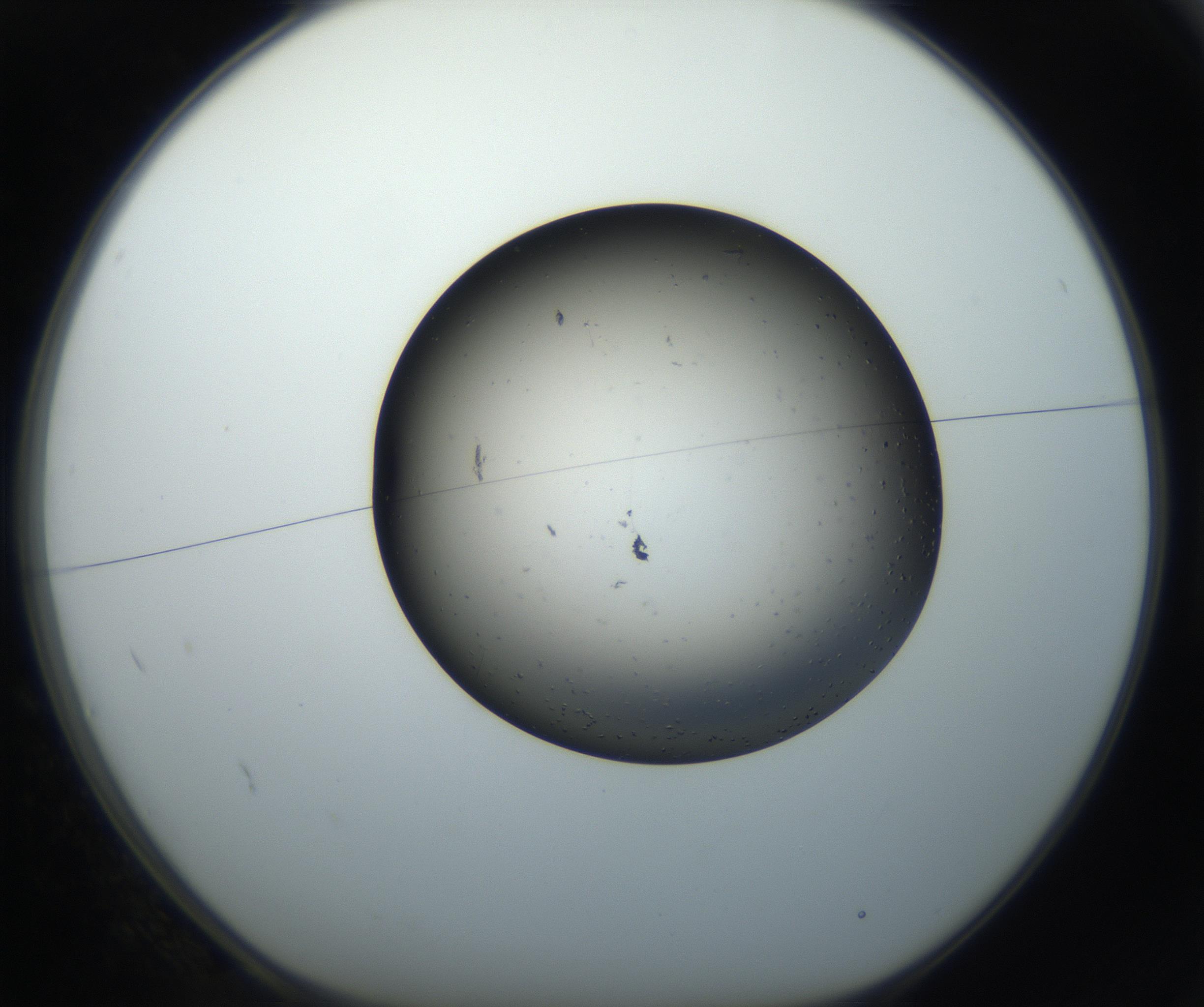 RI01_03_000_0212_Proj1_Clon1_MC_0000MC102705_003_160904_02_01_01_00_99_002_001_RAI.jpg