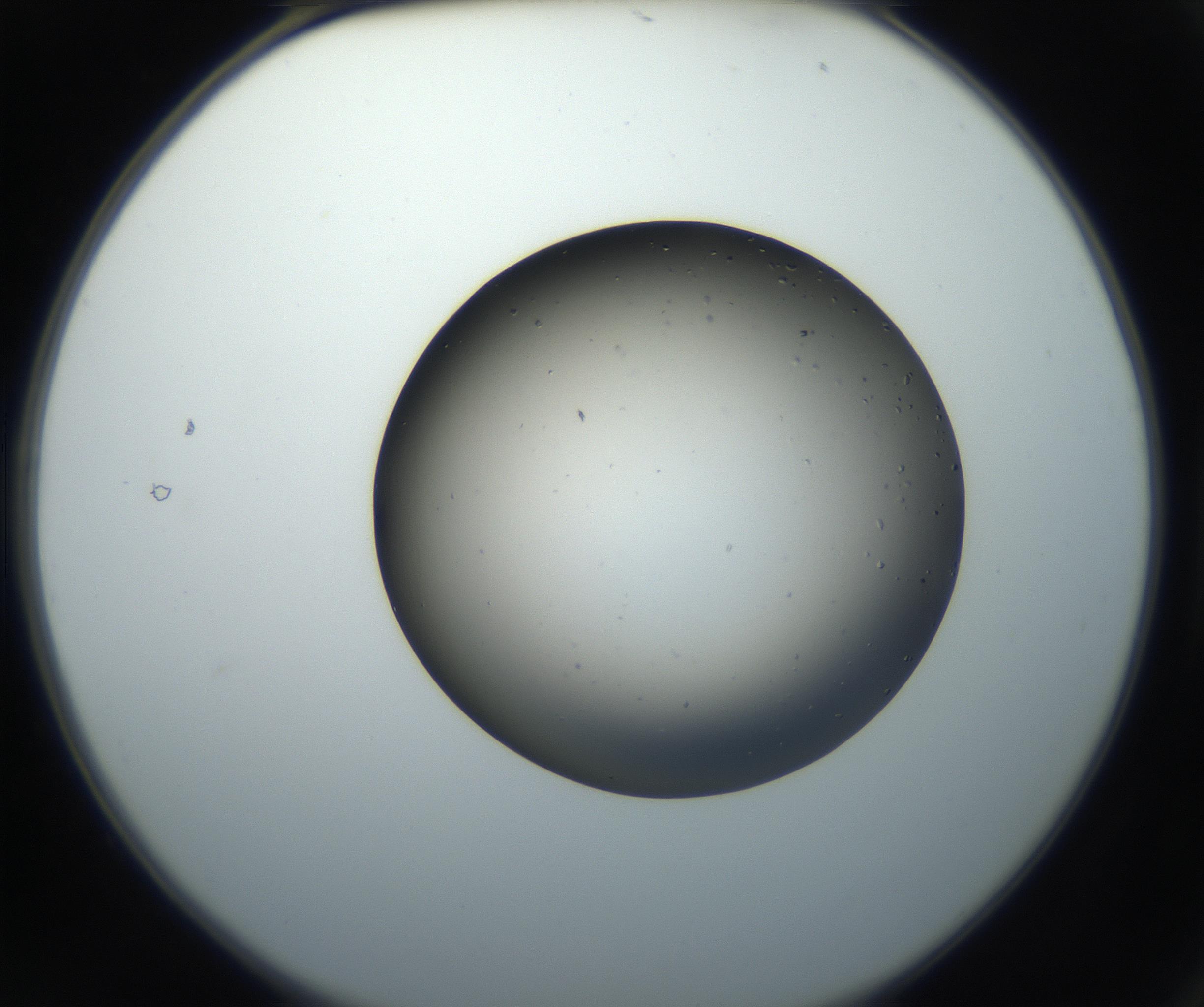 RI01_03_000_0212_Proj1_Clon1_MC_0000MC102705_003_160904_02_01_02_00_99_002_001_RAI.jpg