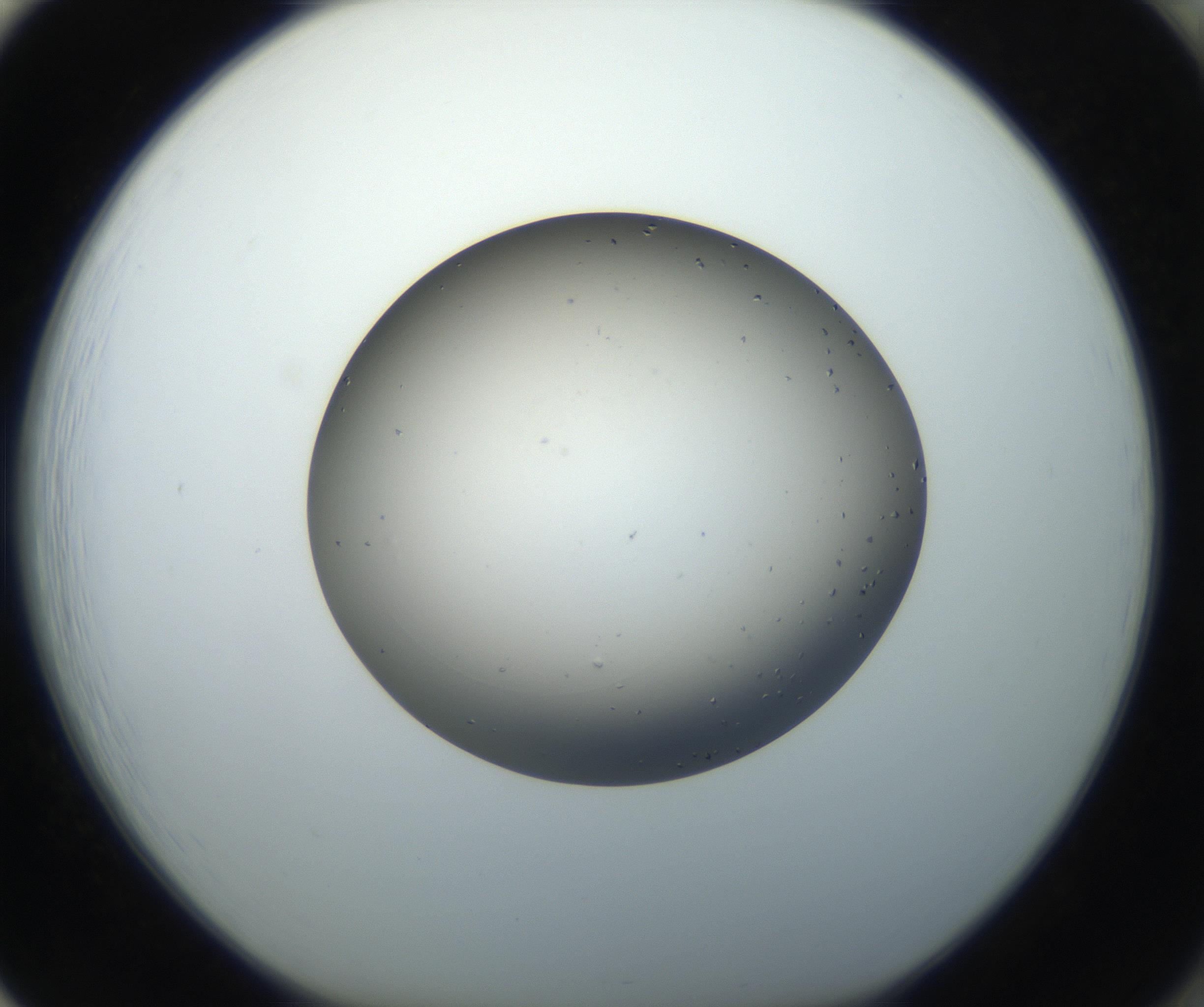 RI01_03_000_0212_Proj1_Clon1_MC_0000MC102705_004_160906_01_08_01_00_99_002_001_RAI.jpg