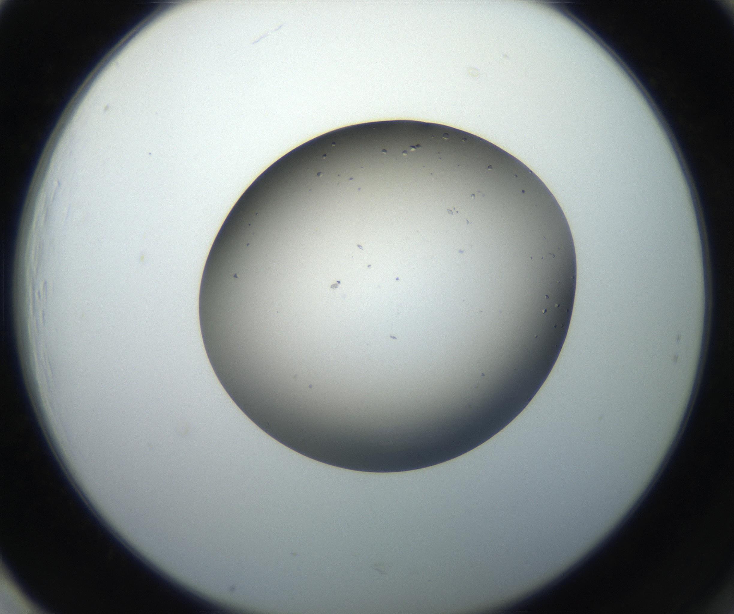 RI01_03_000_0212_Proj1_Clon1_MC_0000MC102705_004_160906_01_08_02_00_99_002_001_RAI.jpg