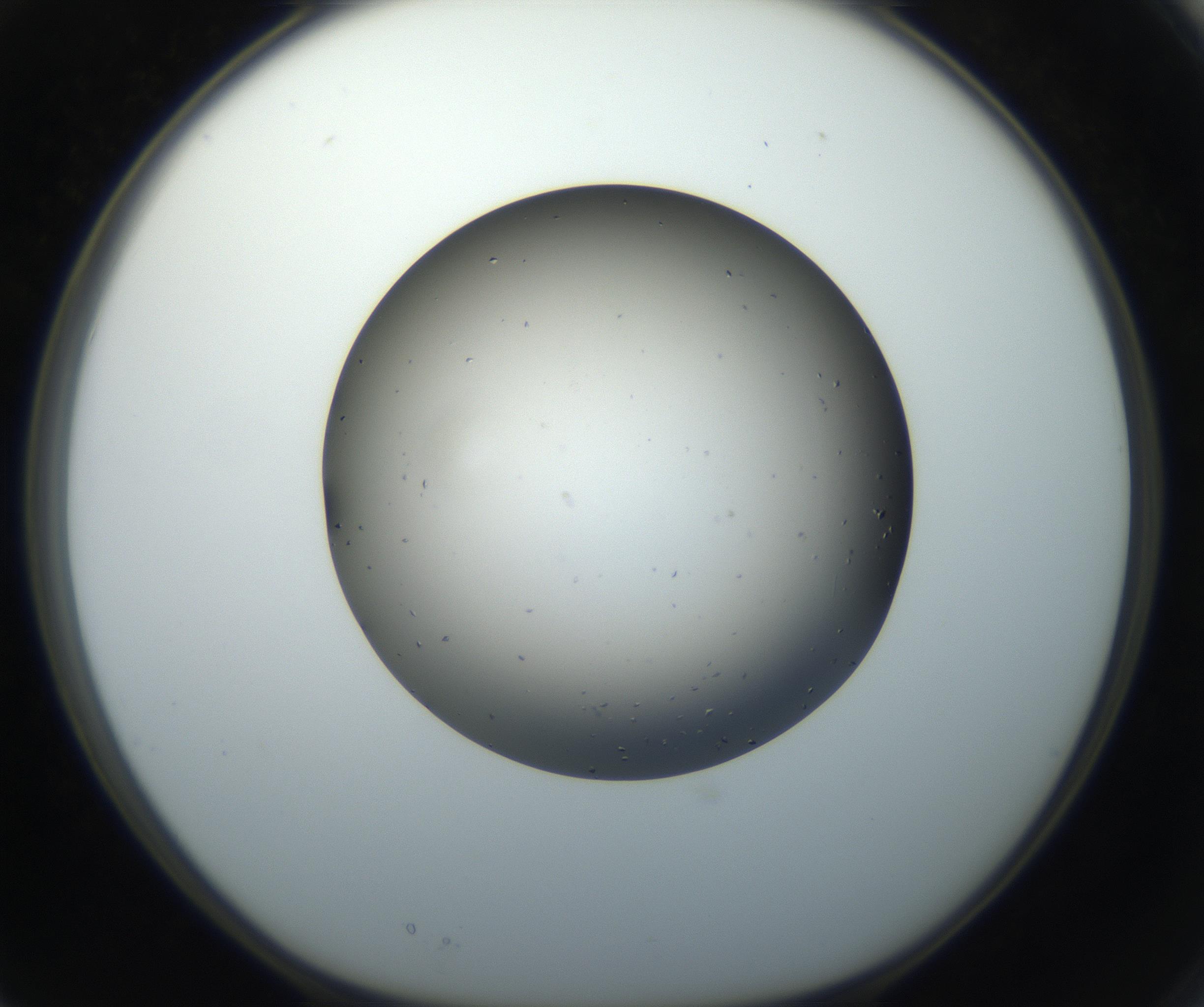 RI01_03_000_0212_Proj1_Clon1_MC_0000MC102705_004_160906_03_02_01_00_99_002_001_RAI.jpg