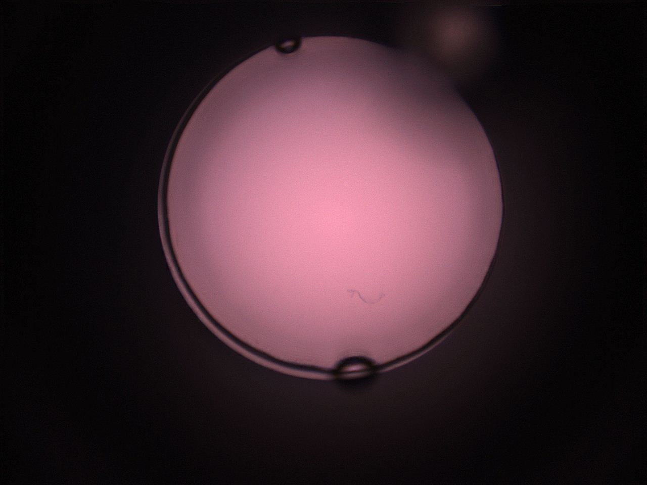 05i2_O9_ImagerDefaults_1.jpg