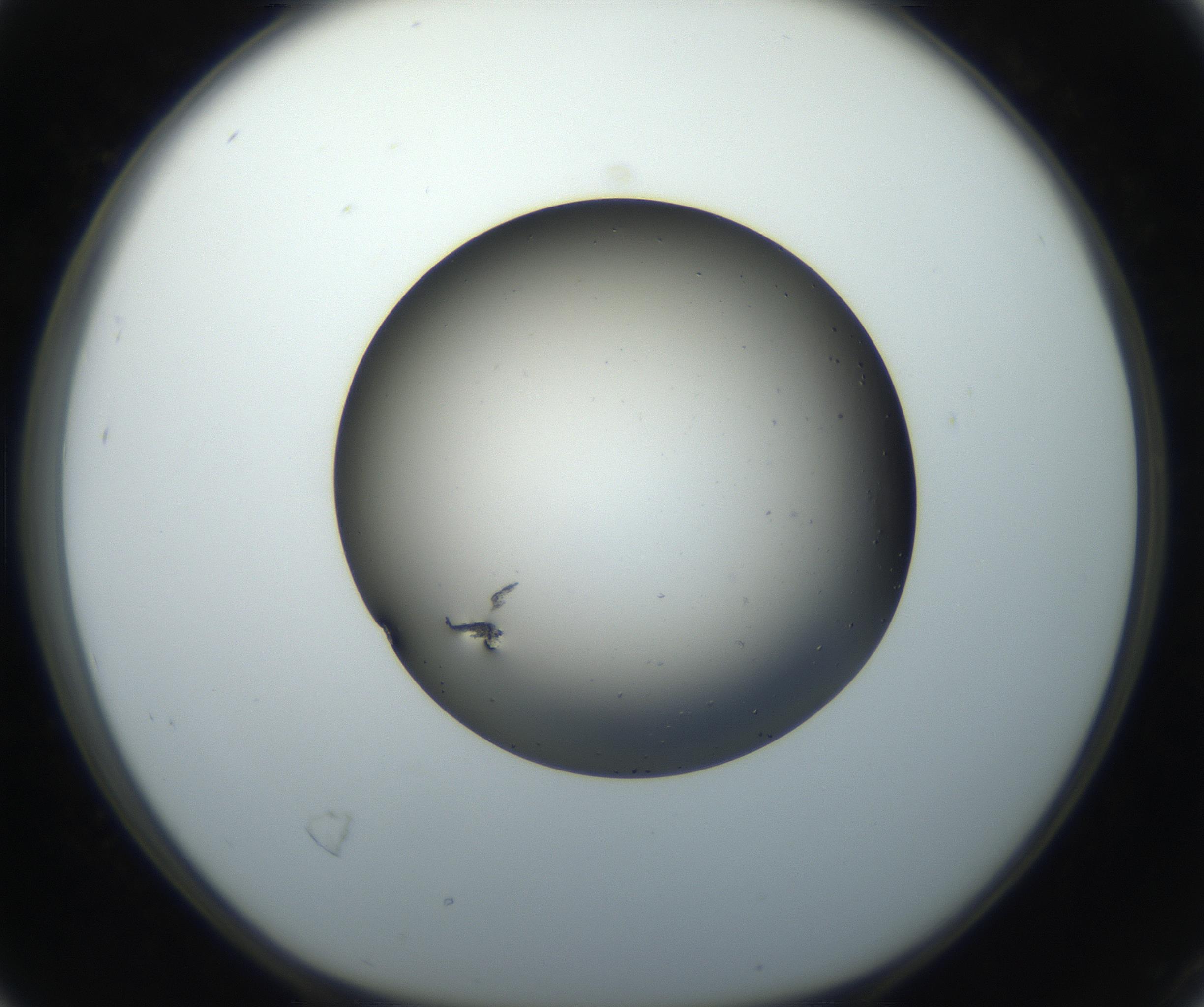 RI01_03_000_0212_Proj1_Clon1_MC_0000MC102705_004_160906_04_02_01_00_99_002_001_RAI.jpg