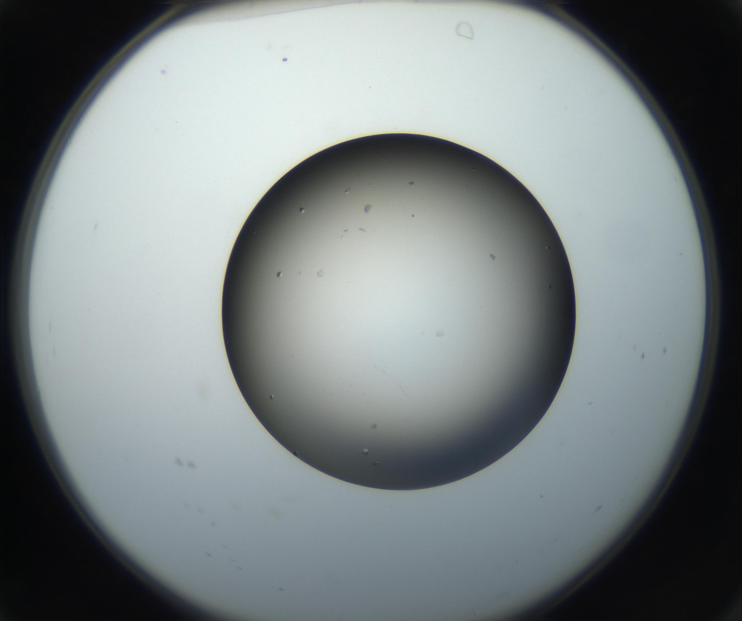 RI01_03_000_0212_Proj1_Clon1_MC_0000MC102705_005_160908_04_01_02_00_99_002_001_RAI.jpg