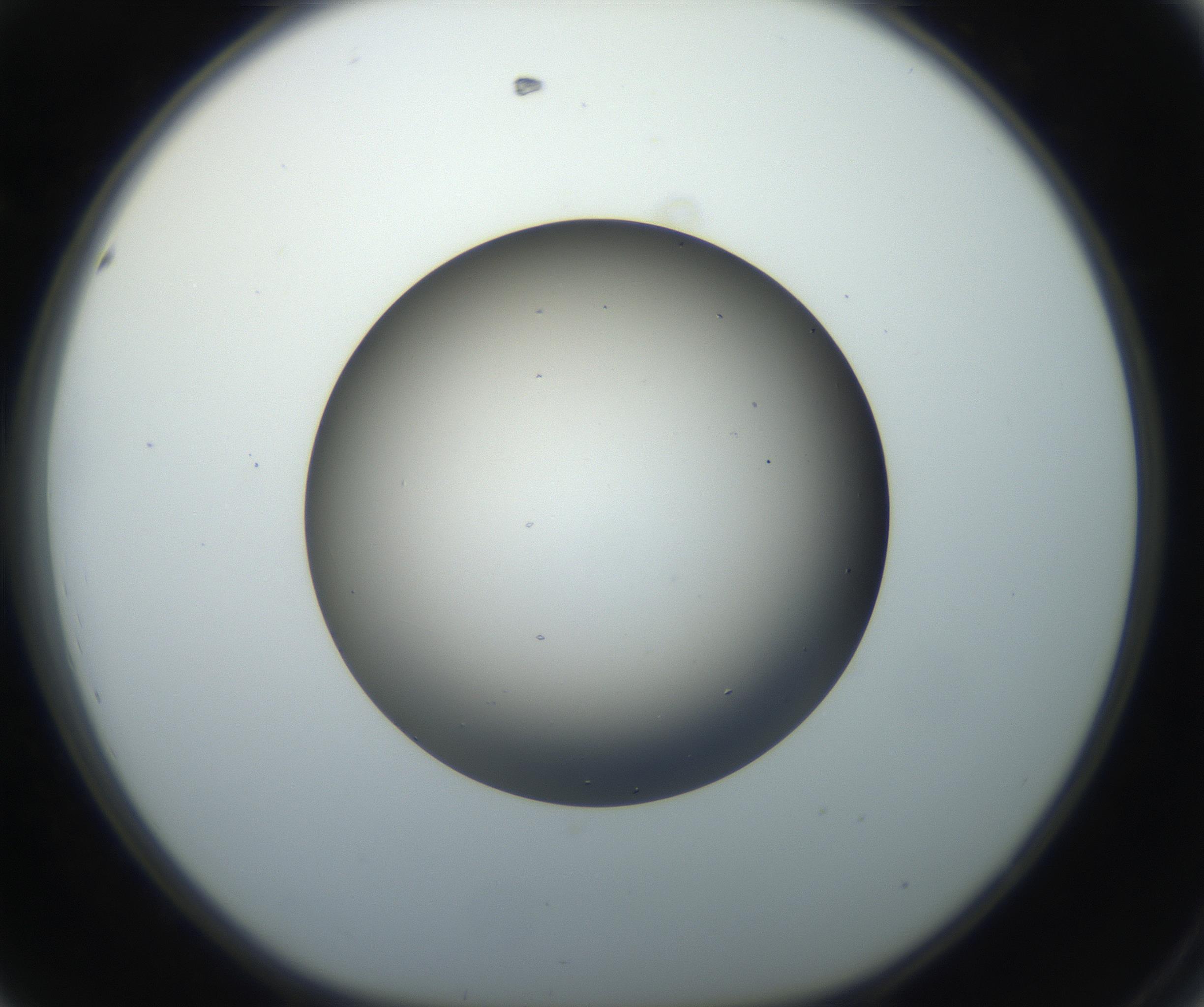 RI01_03_000_0212_Proj1_Clon1_MC_0000MC102705_005_160908_08_04_01_00_99_002_001_RAI.jpg