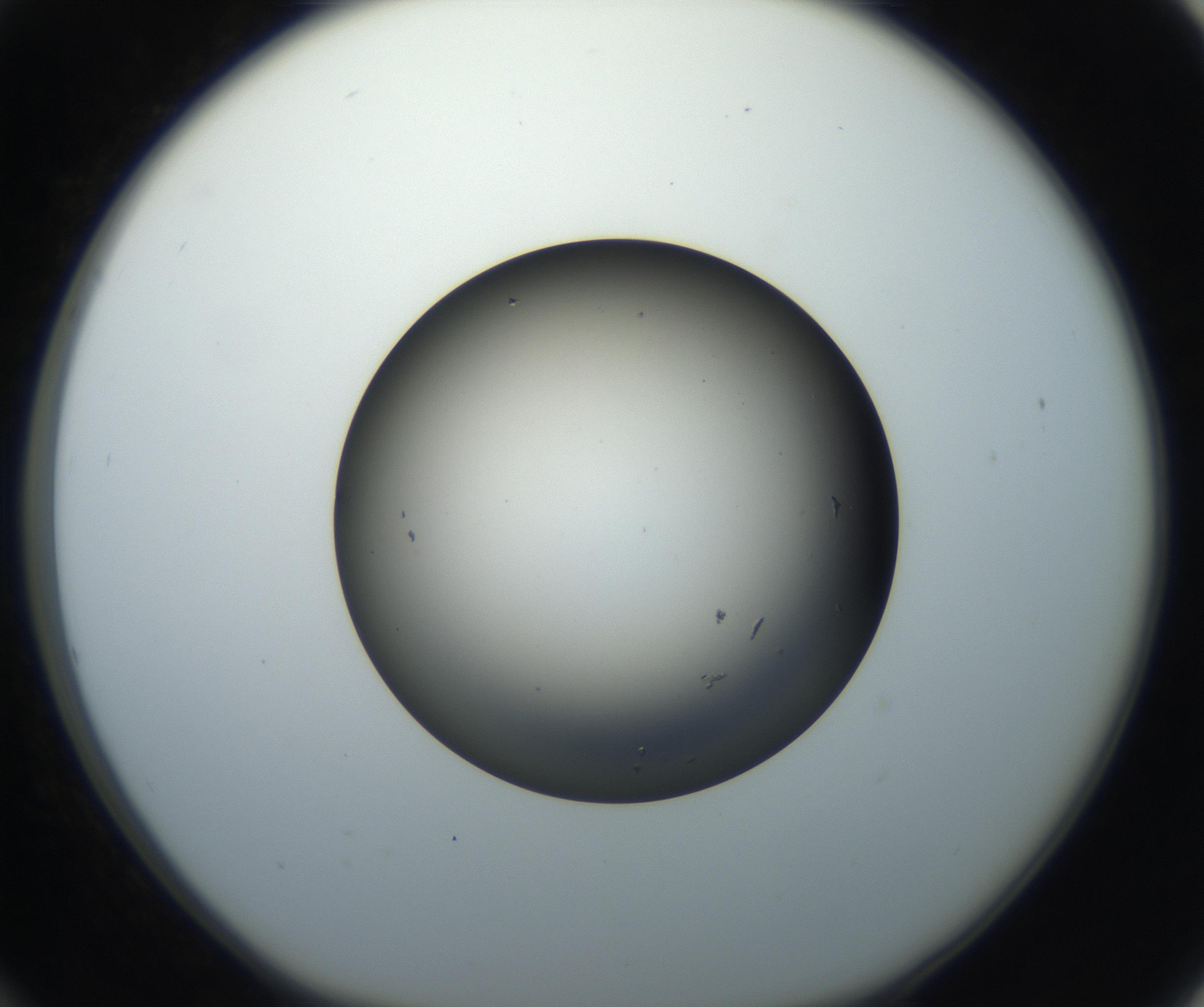 RI01_03_000_0212_Proj1_Clon1_MC_0000MC102705_005_160908_12_03_01_00_99_002_001_RAI.jpg