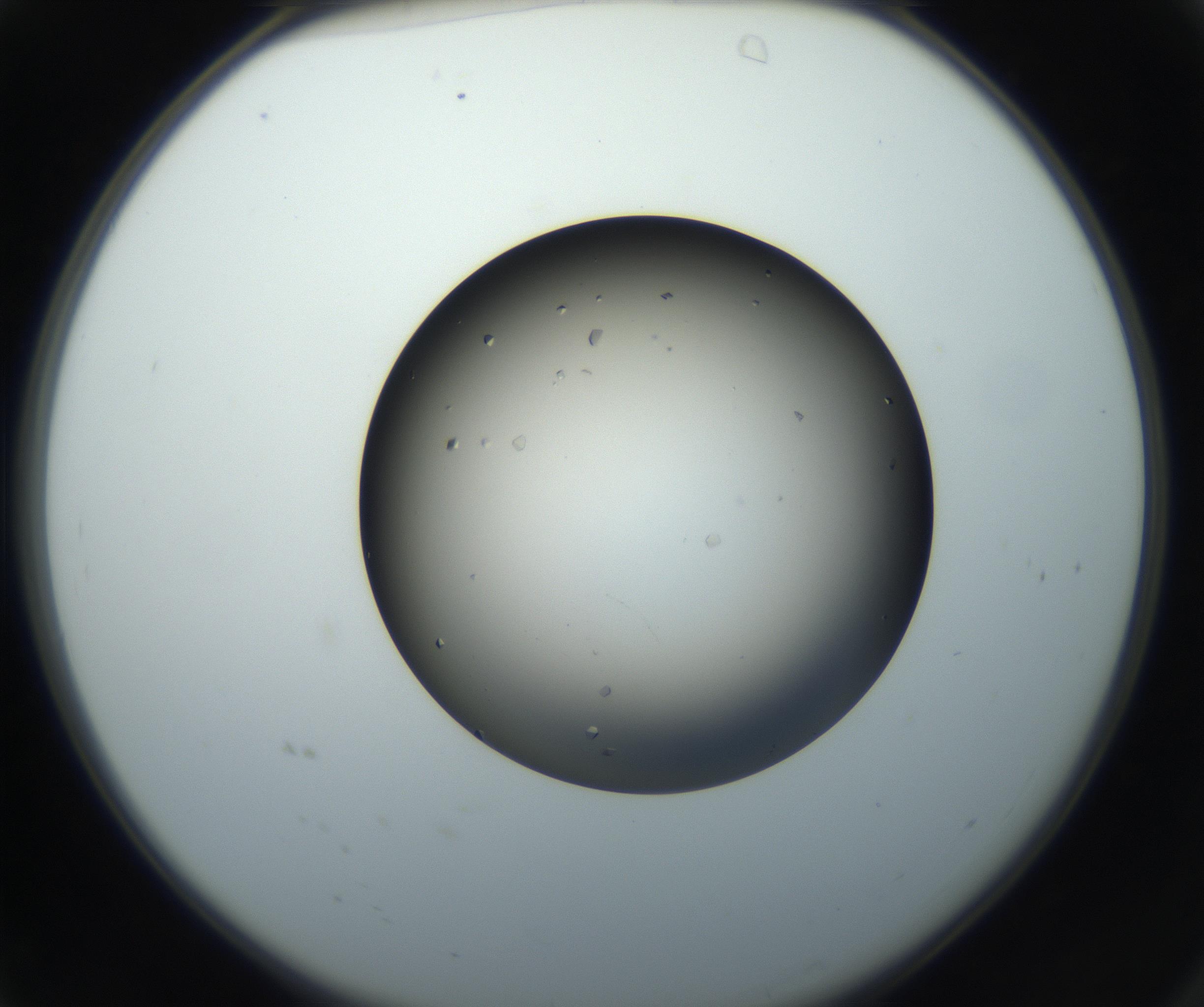 RI01_03_000_0212_Proj1_Clon1_MC_0000MC102705_006_160911_04_01_02_00_99_002_001_RAI.jpg