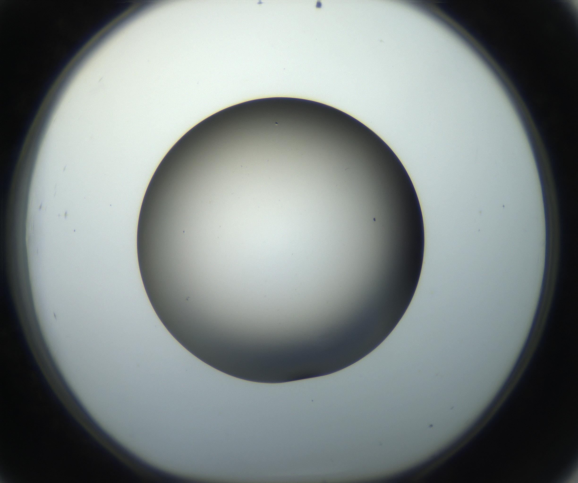 RI01_03_000_0212_Proj1_Clon1_MC_0000MC102705_007_160915_09_04_01_00_99_002_001_RAI.jpg