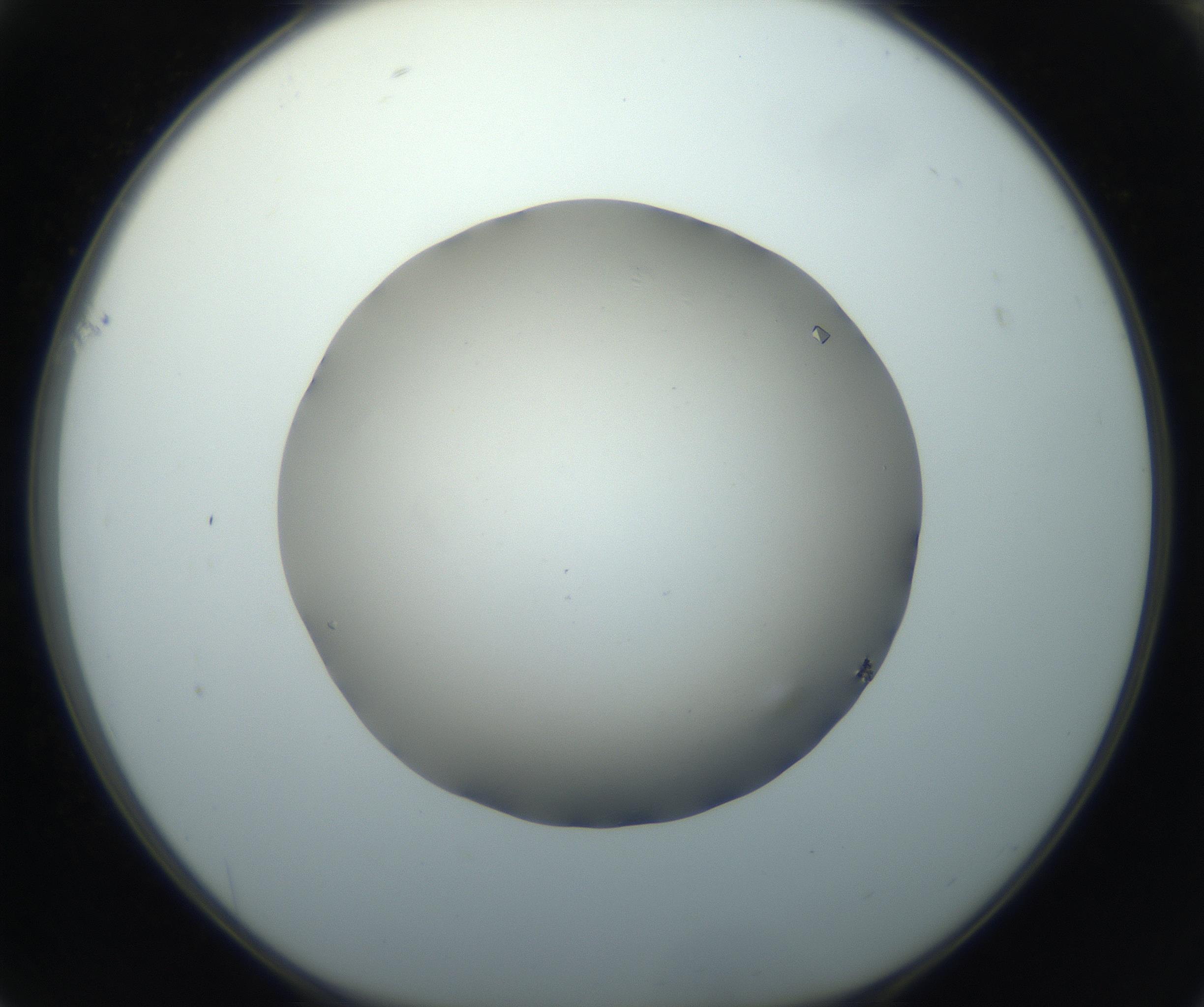 RI01_03_000_0212_Proj1_Clon1_MC_0000MC102705_009_160929_01_06_01_00_99_002_001_RAI.jpg