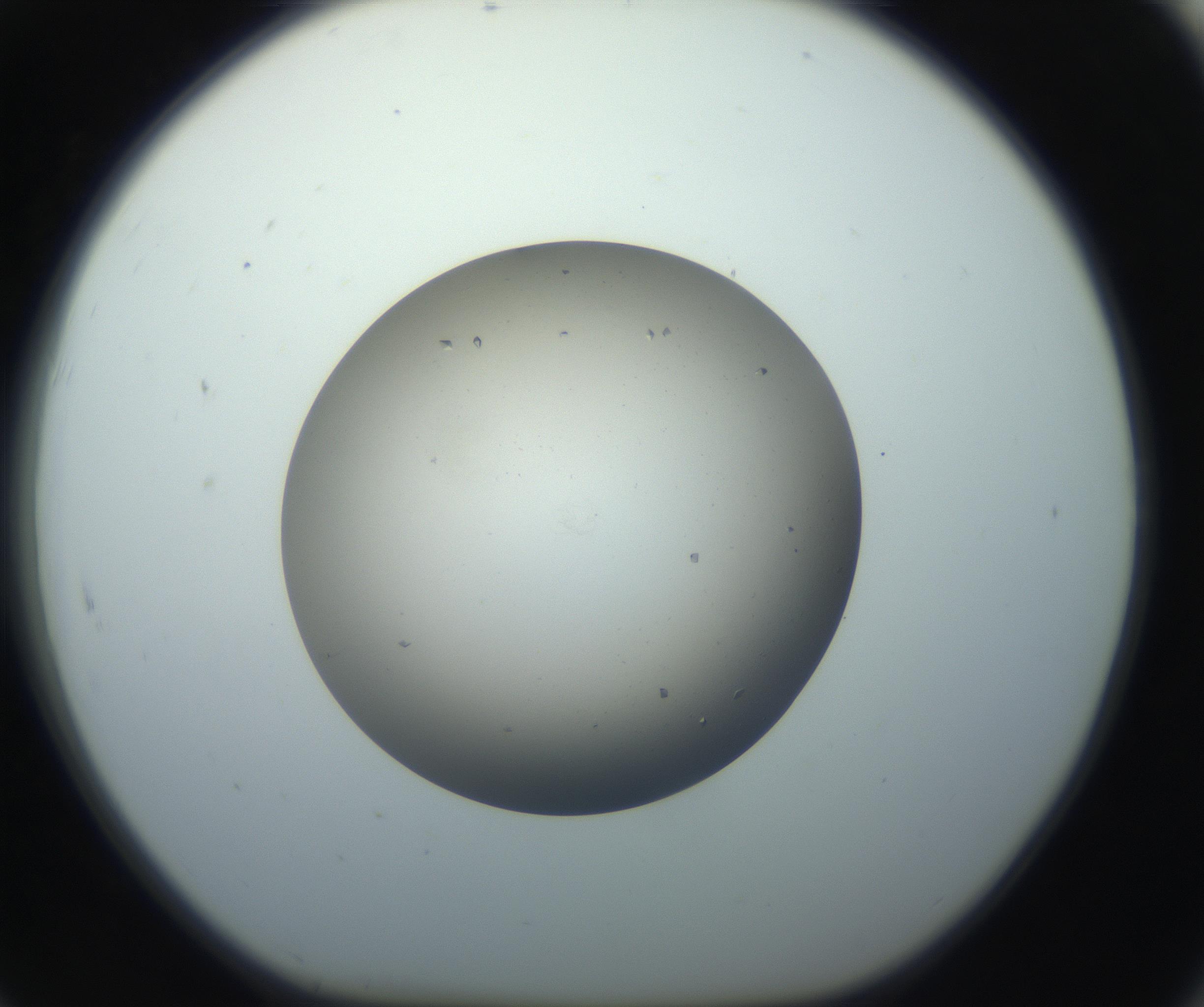 RI01_03_000_0212_Proj1_Clon1_MC_0000MC102705_009_160929_07_08_01_00_99_002_001_RAI.jpg