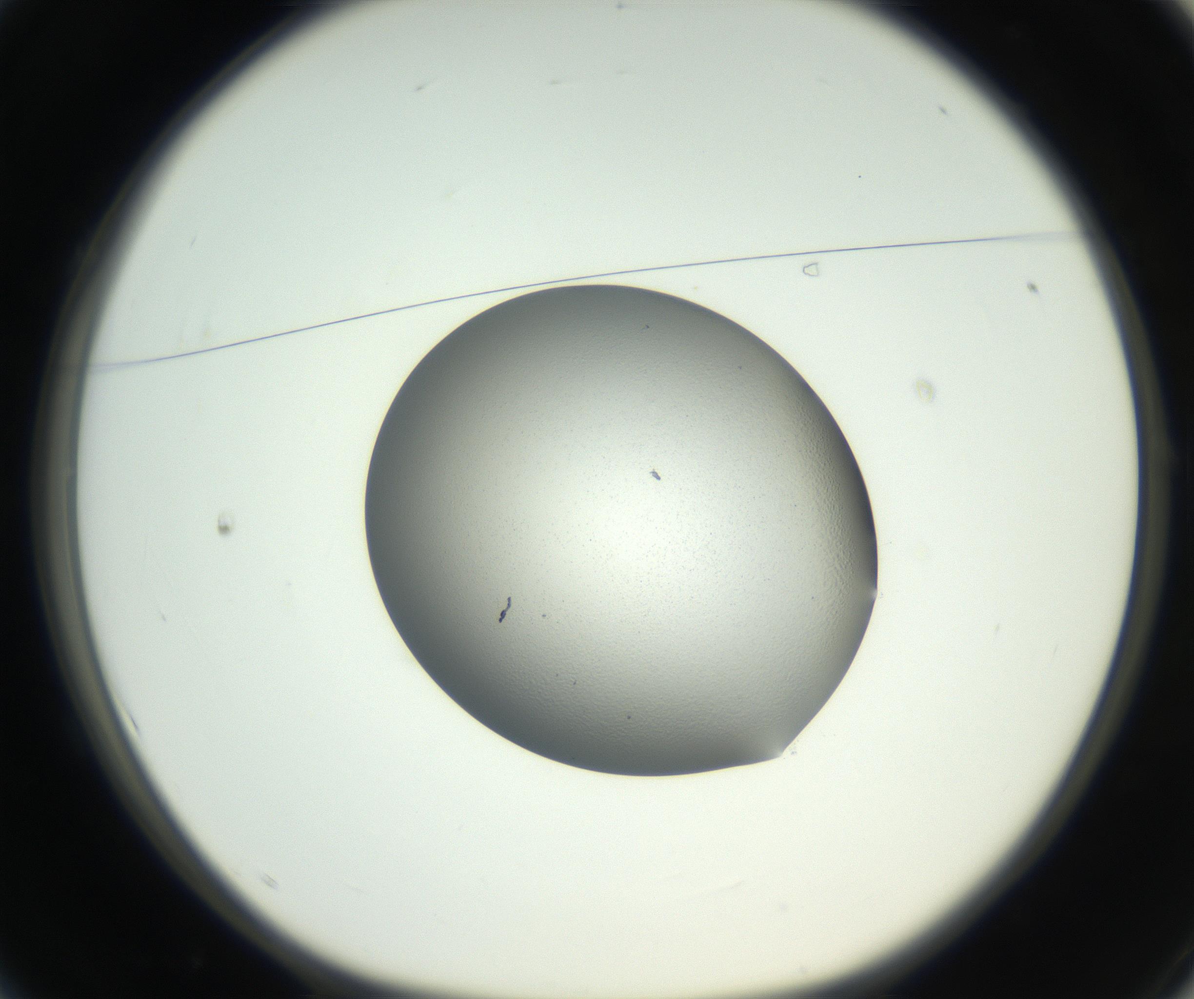 RI01_03_000_0212_Proj1_Clon1_MC_0000MC102706_003_160905_01_01_01_00_99_002_001_RAI.jpg