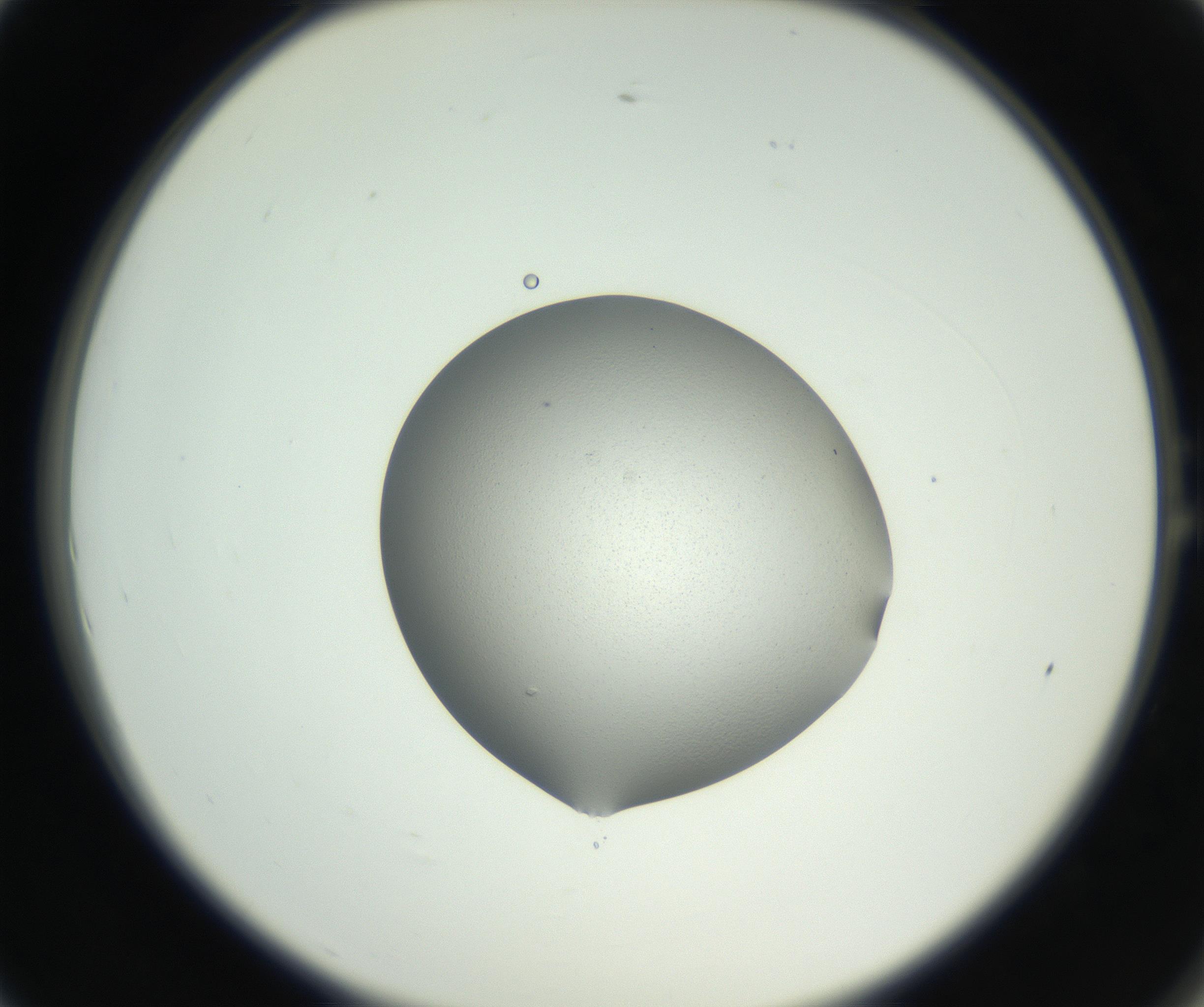 RI01_03_000_0212_Proj1_Clon1_MC_0000MC102706_003_160905_01_01_02_00_99_002_001_RAI.jpg