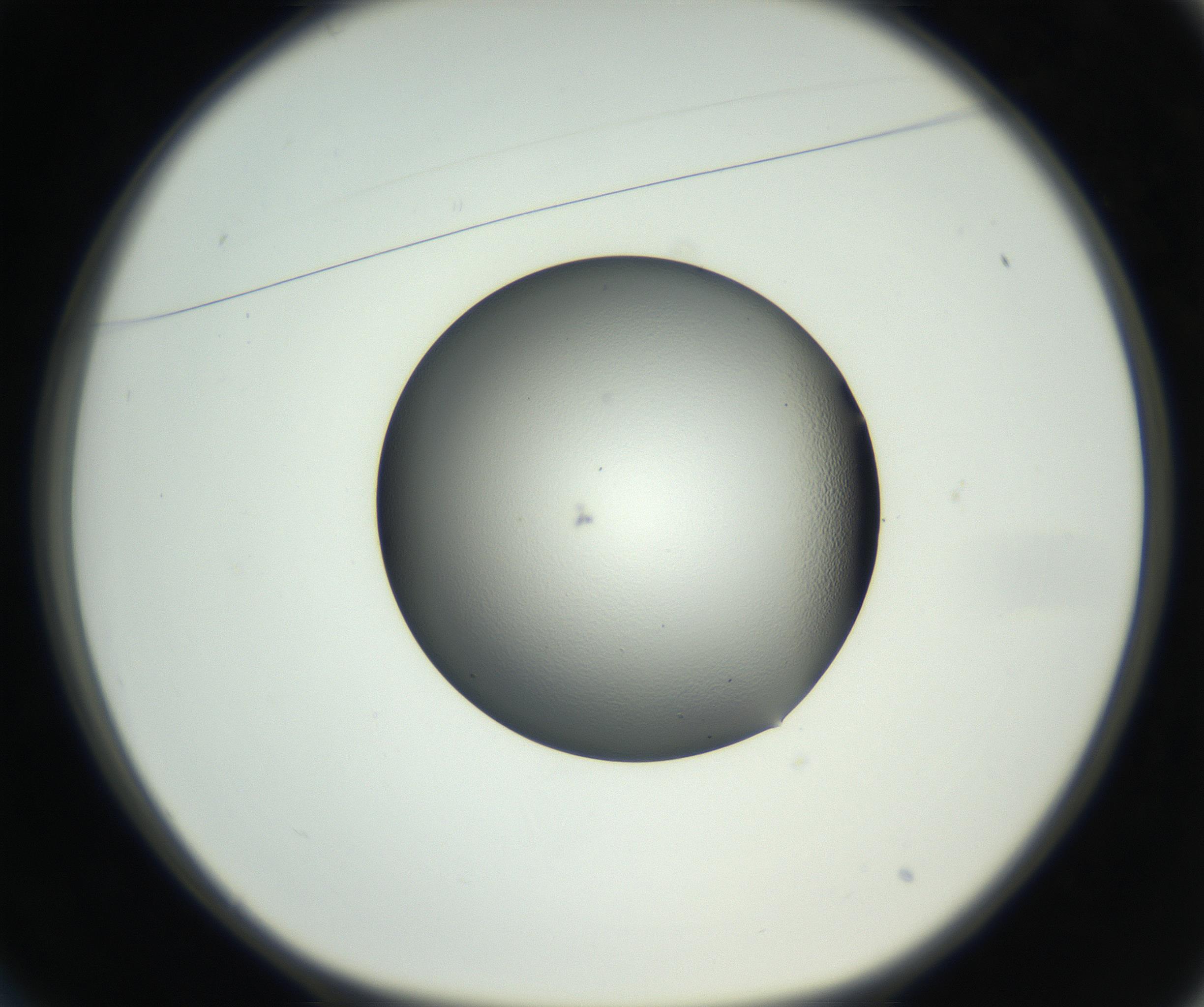 RI01_03_000_0212_Proj1_Clon1_MC_0000MC102706_003_160905_01_02_01_00_99_002_001_RAI.jpg