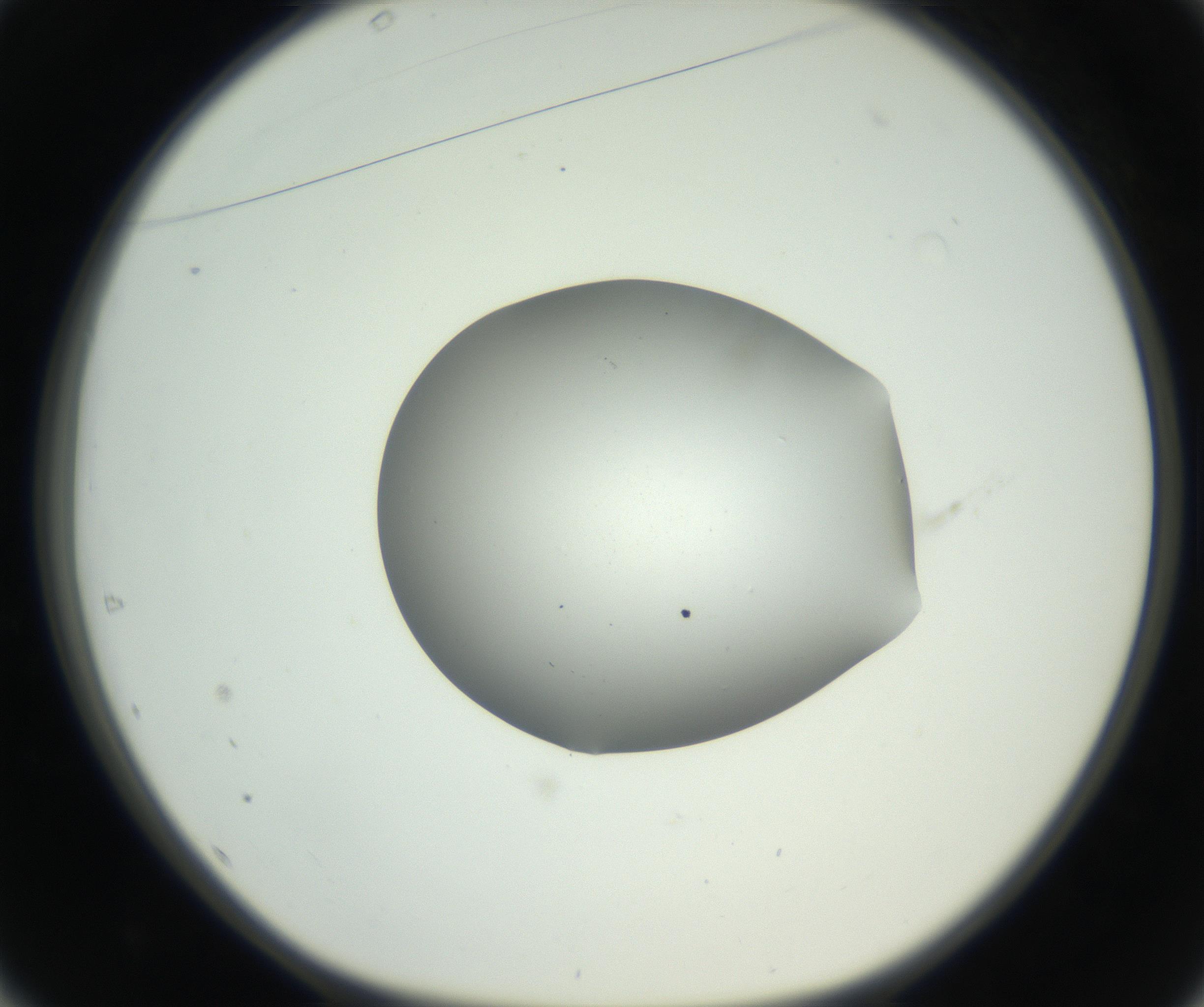 RI01_03_000_0212_Proj1_Clon1_MC_0000MC102706_003_160905_01_04_01_00_99_002_001_RAI.jpg
