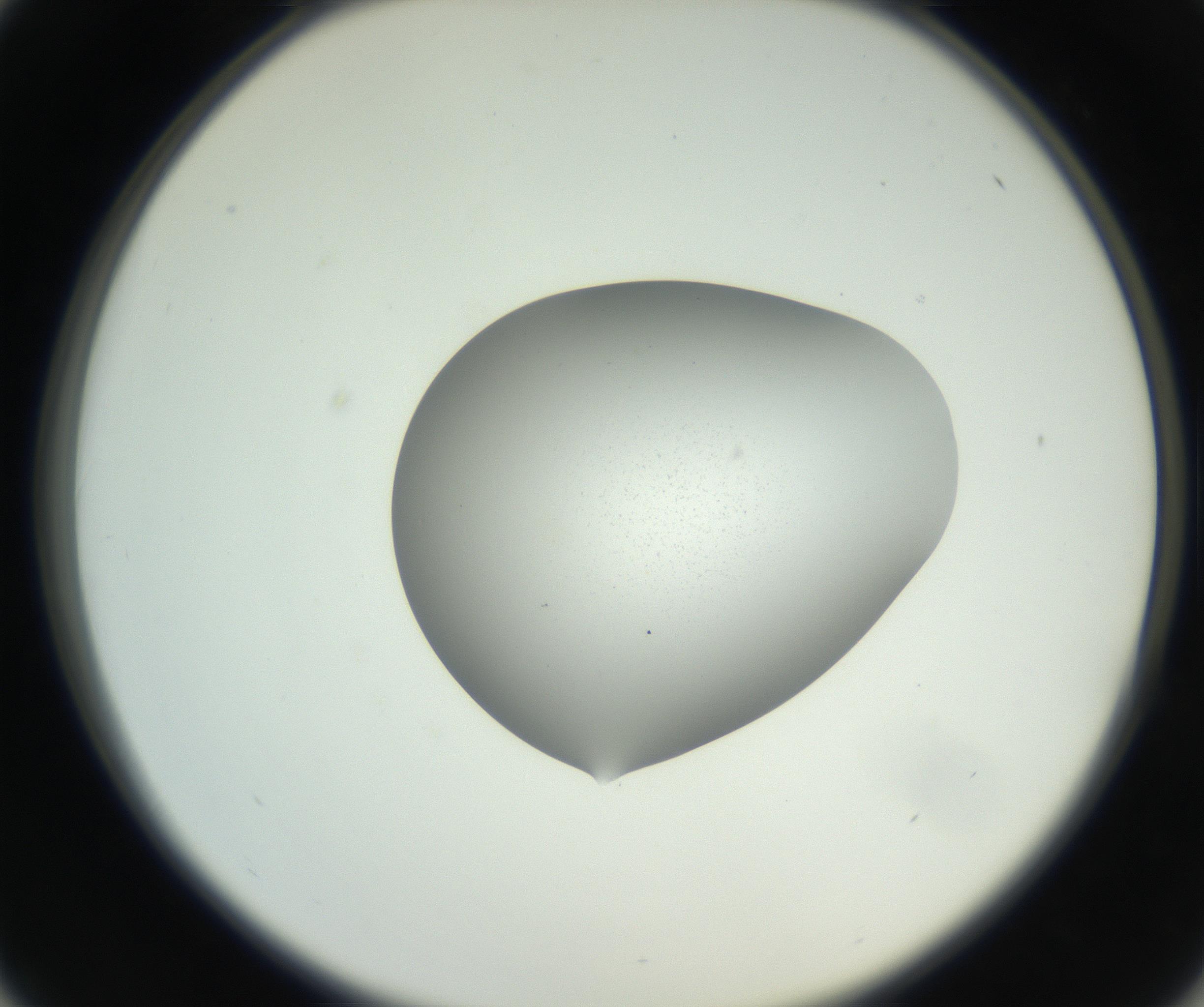 RI01_03_000_0212_Proj1_Clon1_MC_0000MC102706_003_160905_01_04_02_00_99_002_001_RAI.jpg