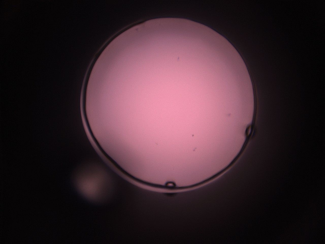 05i2_O11_ImagerDefaults_1.jpg