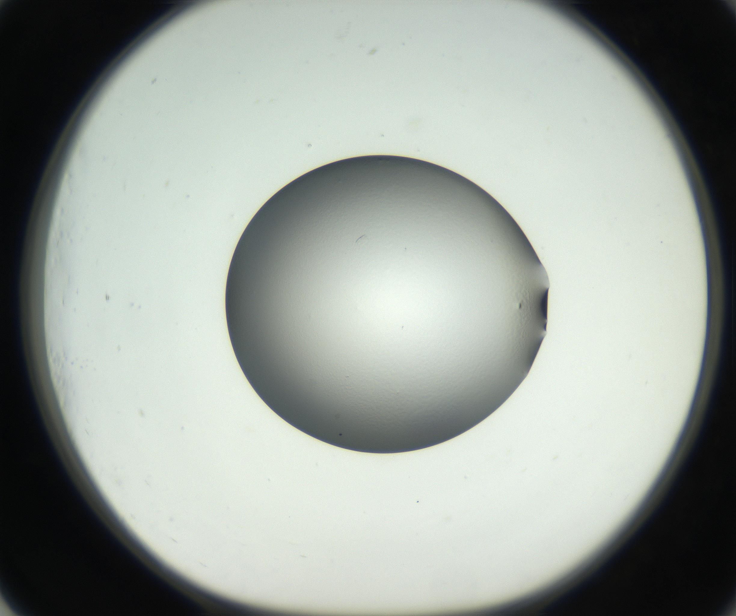 RI01_03_000_0212_Proj1_Clon1_MC_0000MC102706_003_160905_01_07_01_00_99_002_001_RAI.jpg